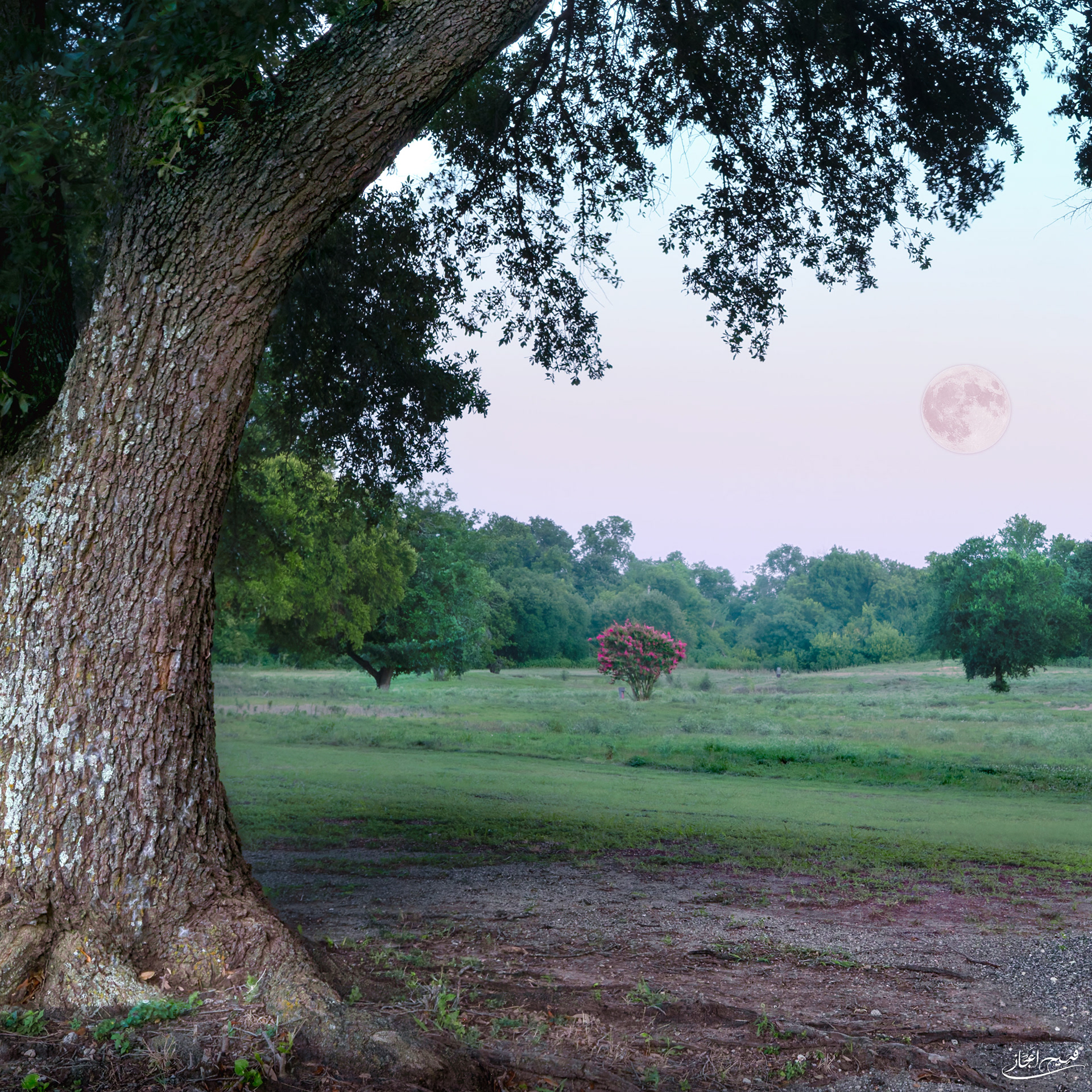 Strawberry Moon (June 2026)
