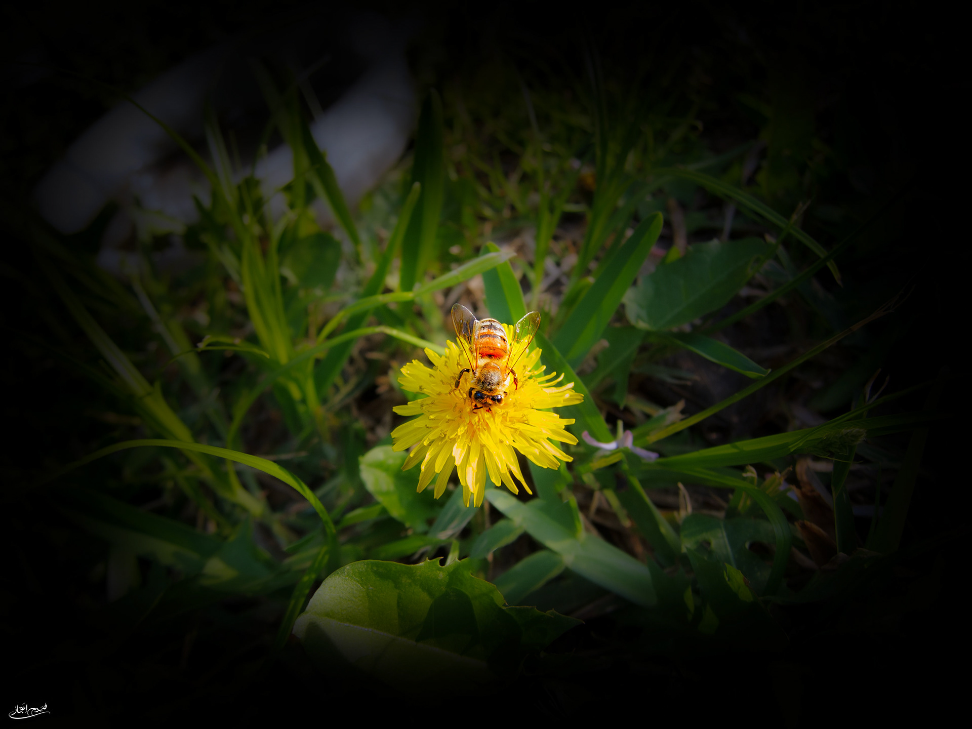 Nothing Is Insignificant