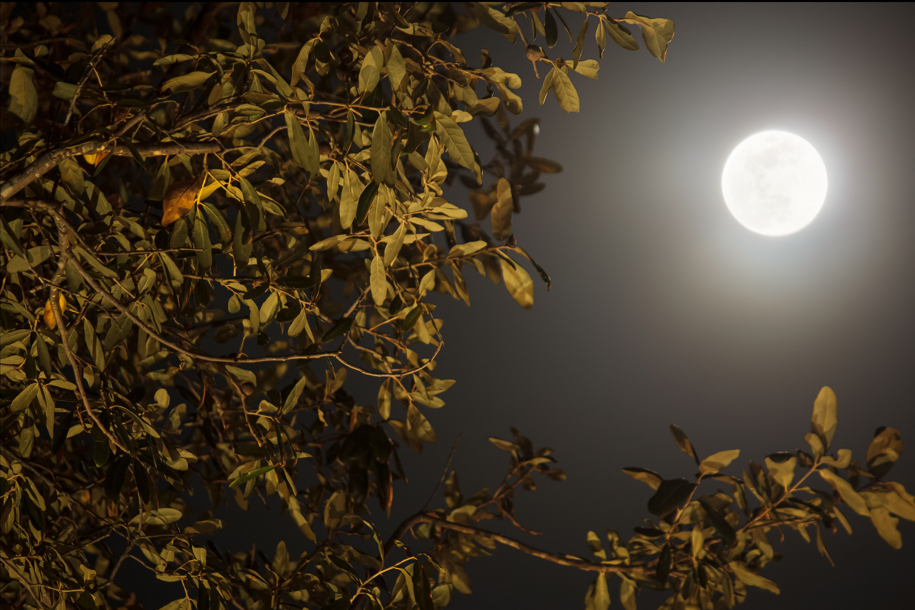 Two Lights, One Night