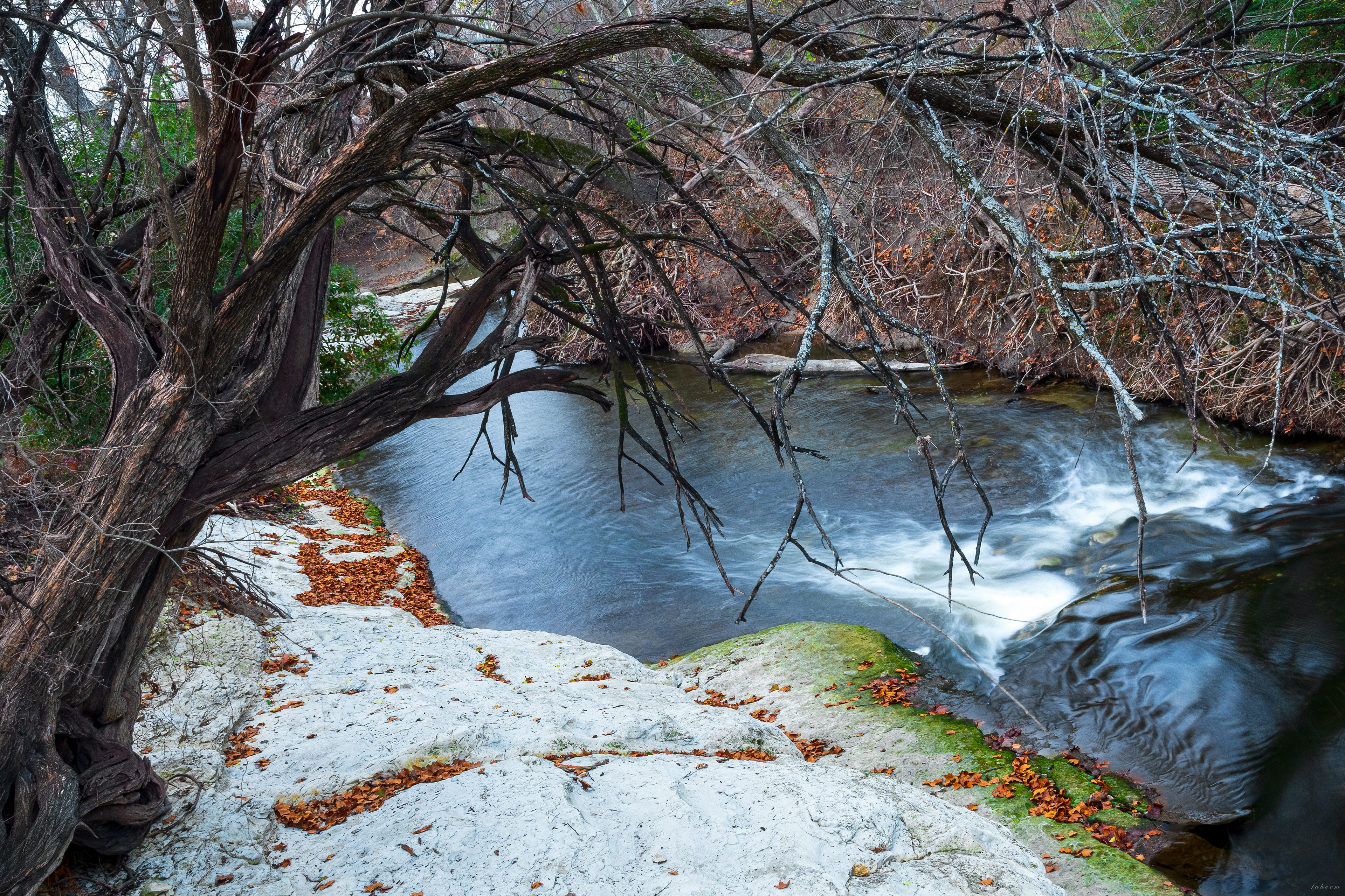 Firewheel Golf Park, Garland, Texas