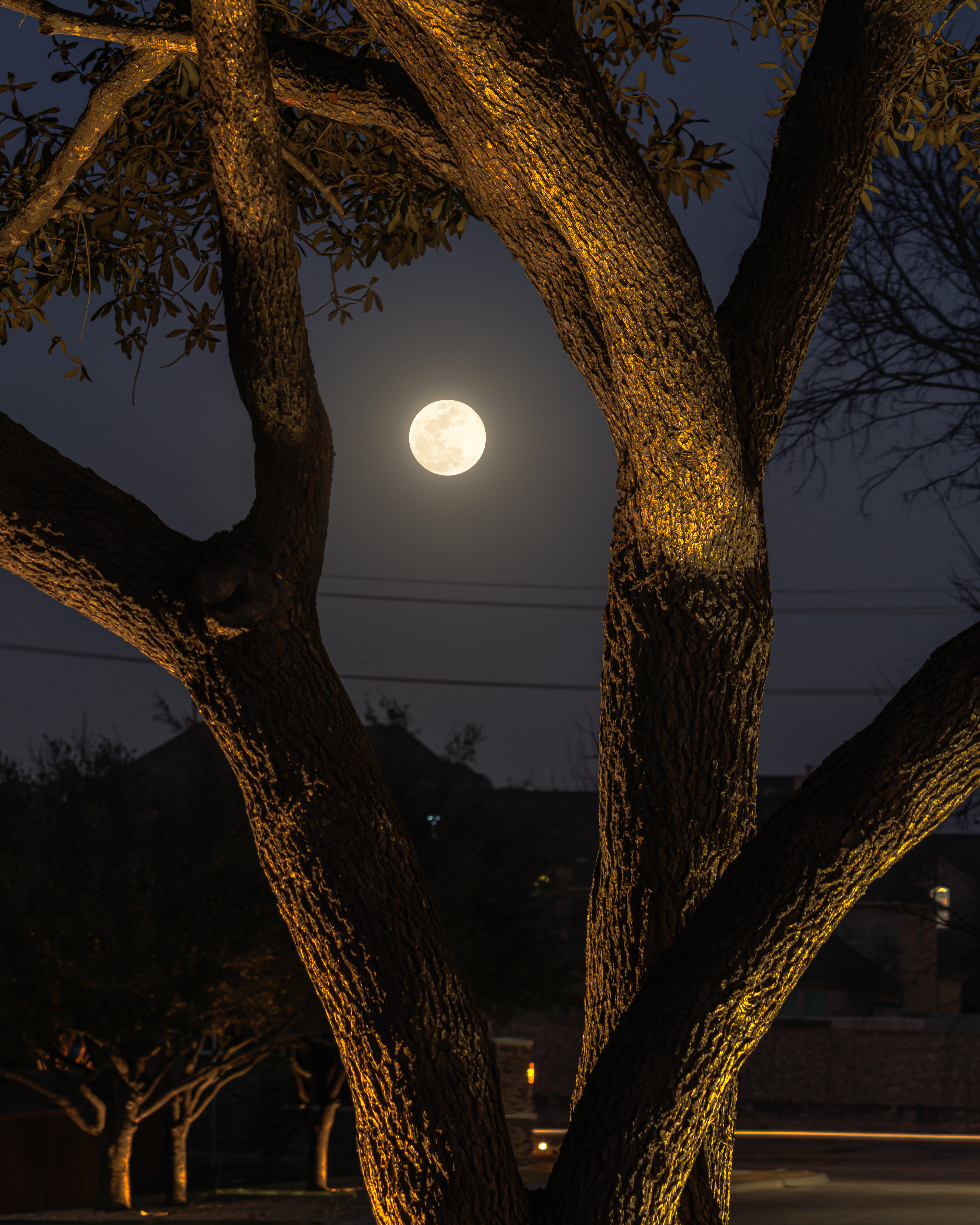 Seen From Home