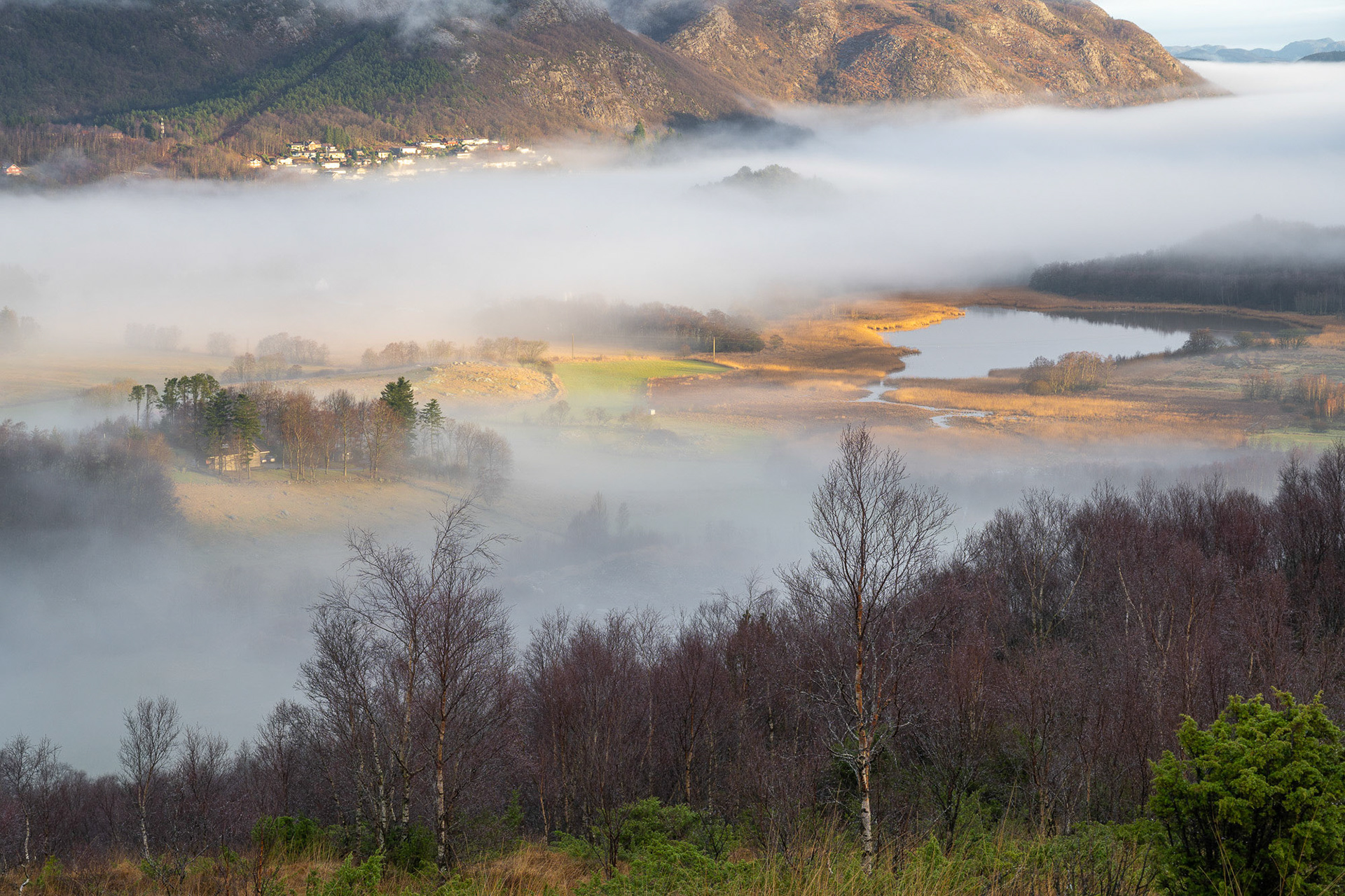 Morgentåke over Vatne