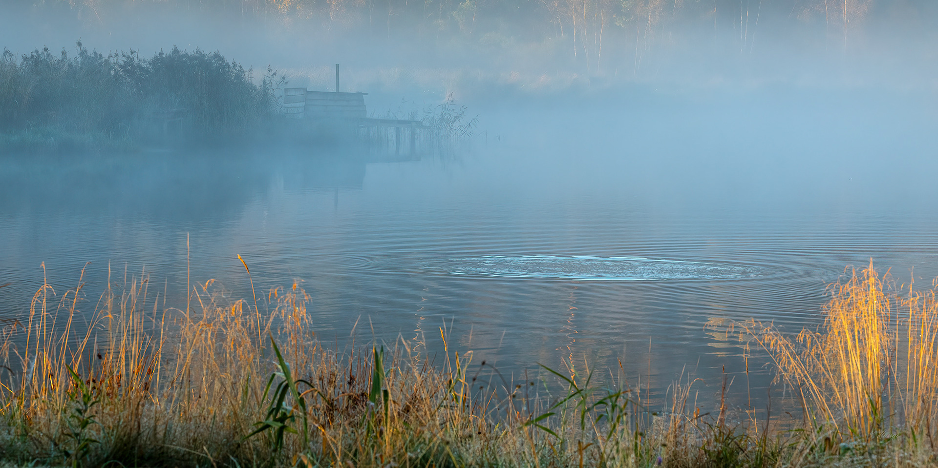 Tåke over Møgdalshølen