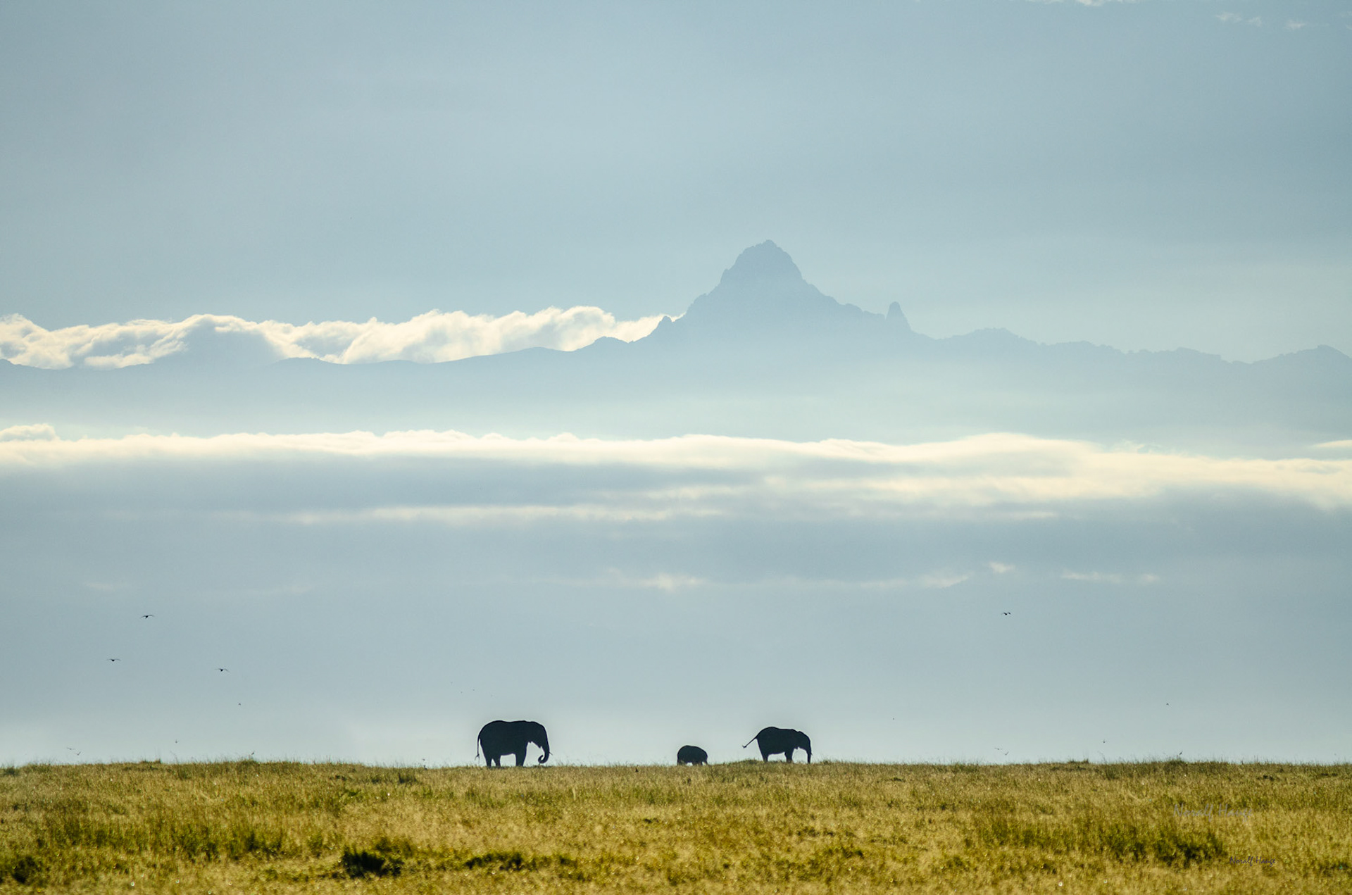 Morgendis over Mt Kenya