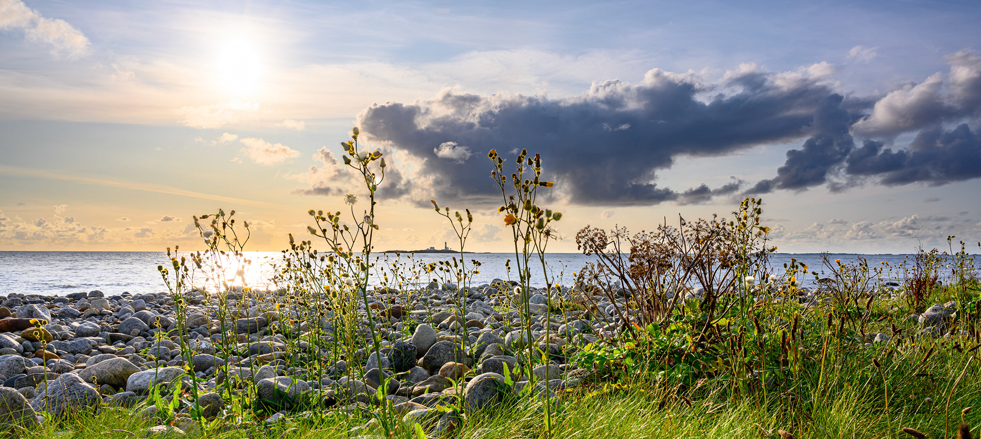 Sommerkveld på Sele