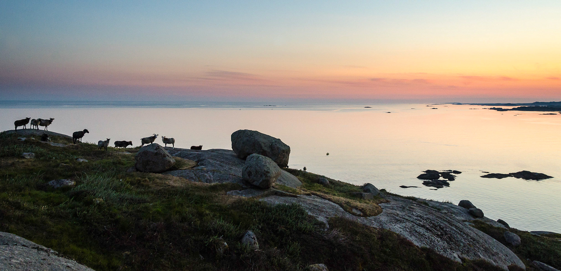 Sommernatt på Sutnøy