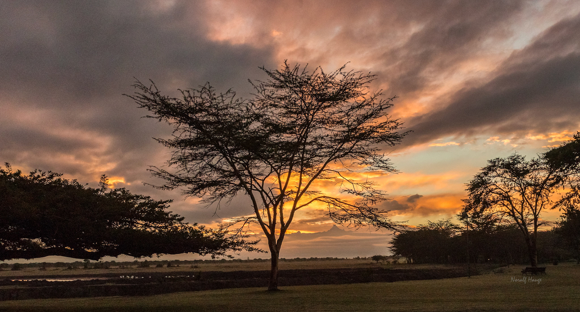 Kveldsol over Mt Kenya