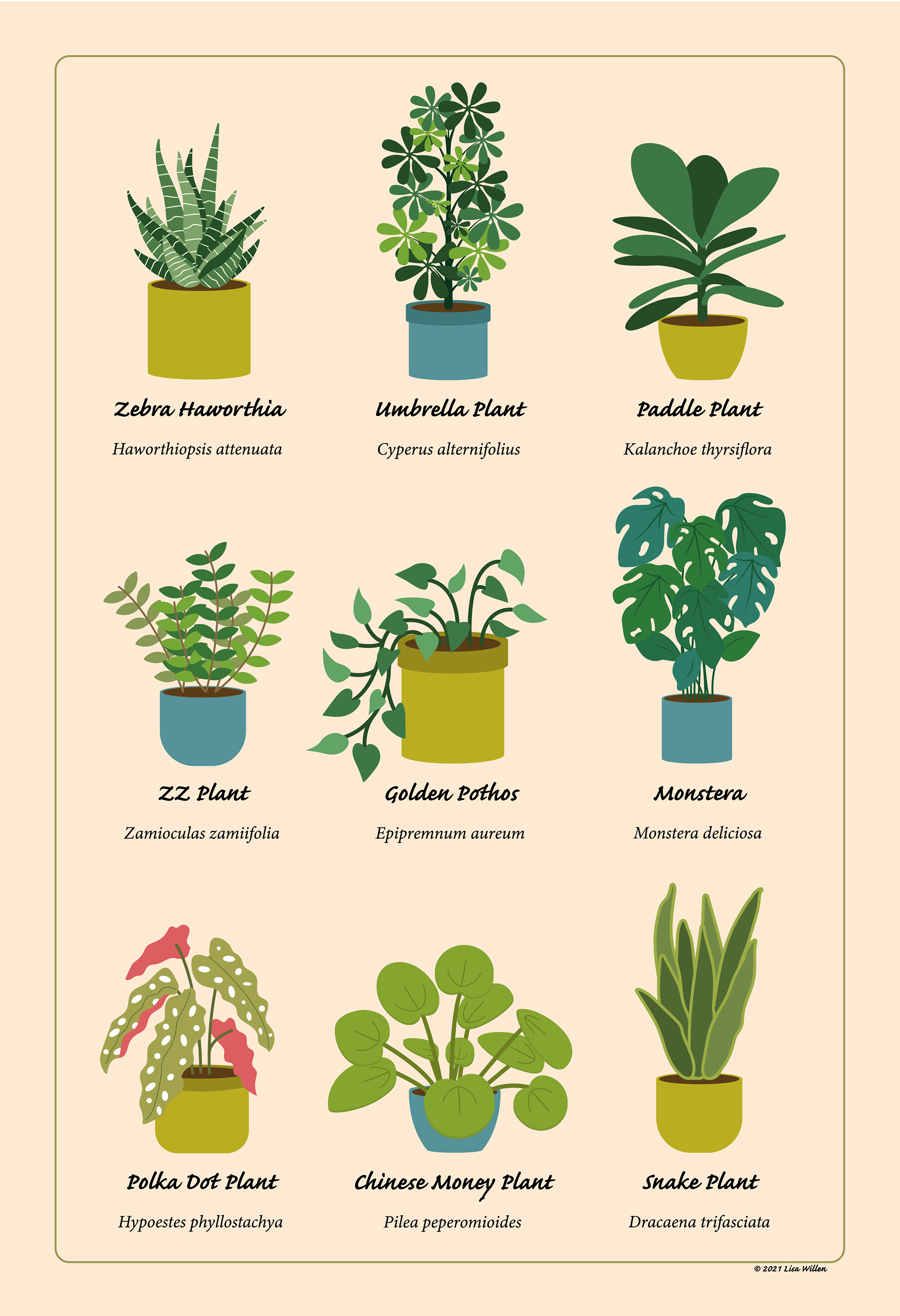 Maryville Design & Visual Art - Plant Identification Poster & Cards