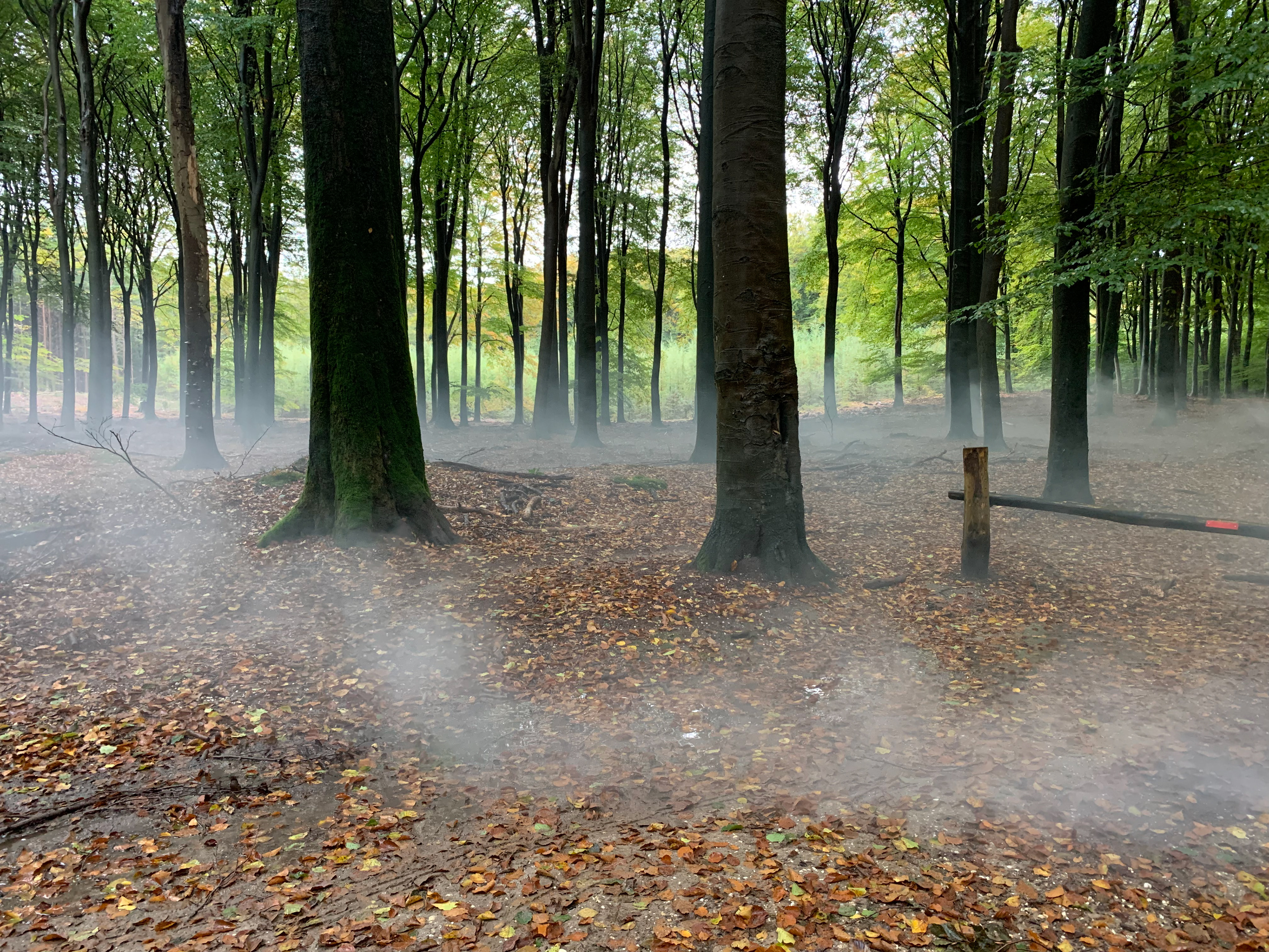 SFX MIST
