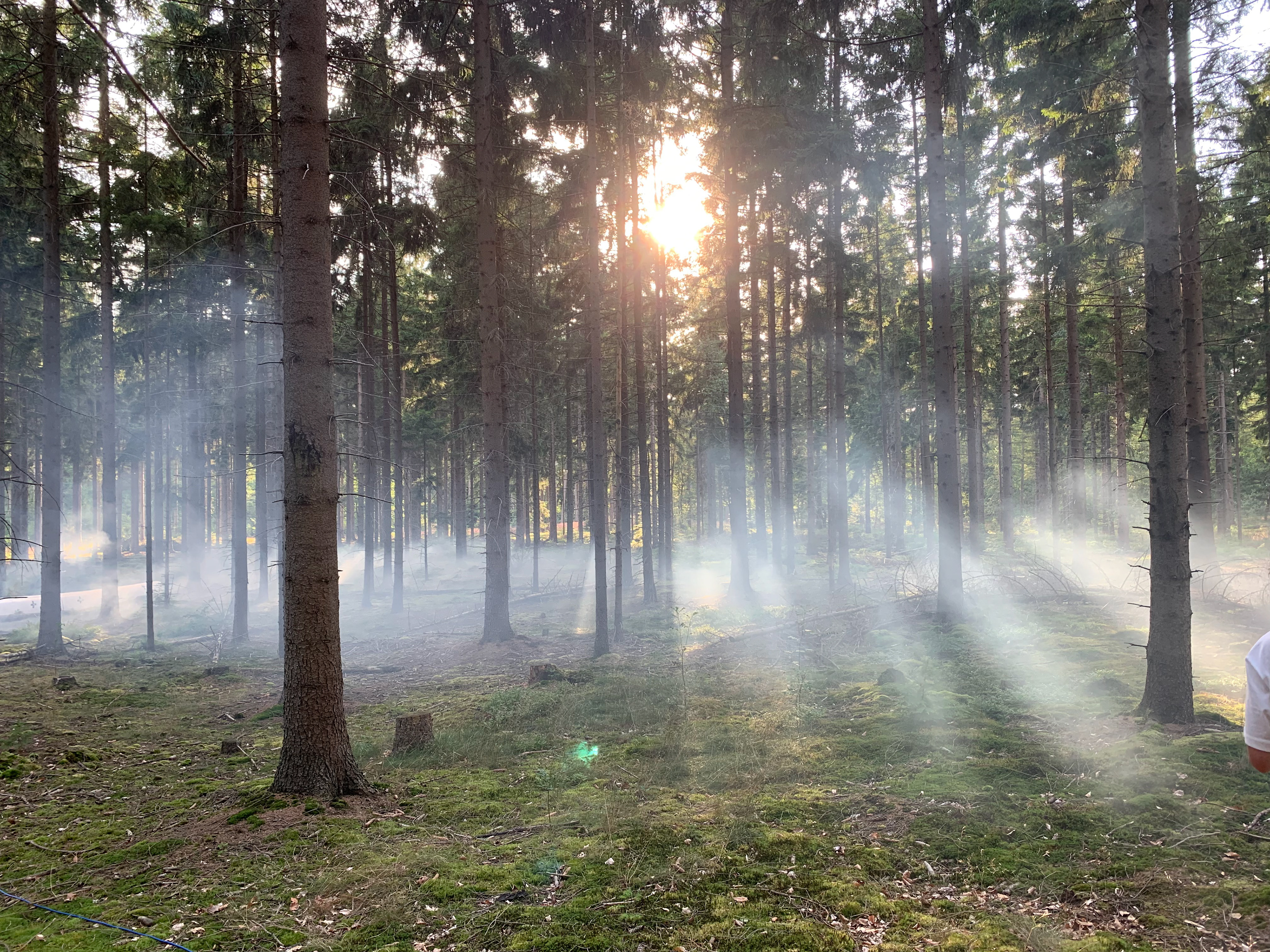 SFX MIST