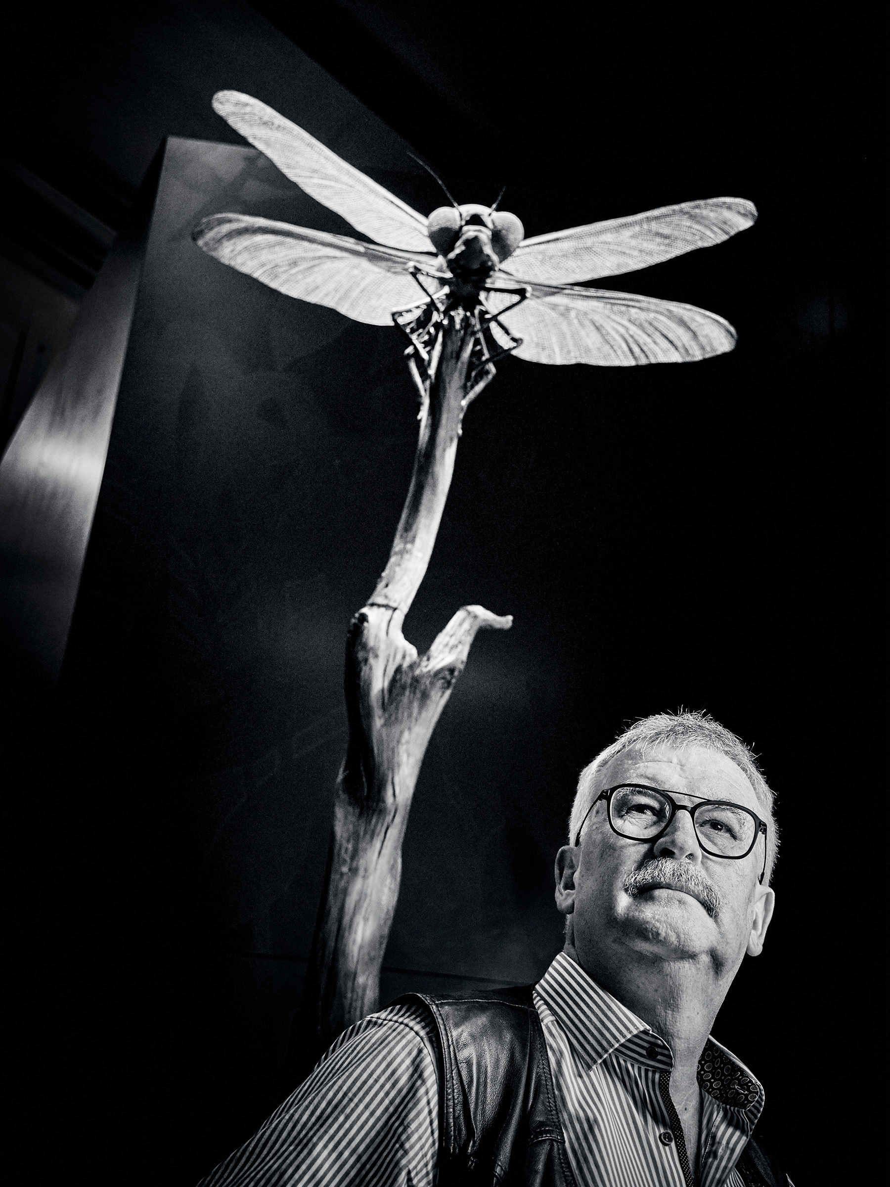 Prof. Josef Settele - Insektenforscher