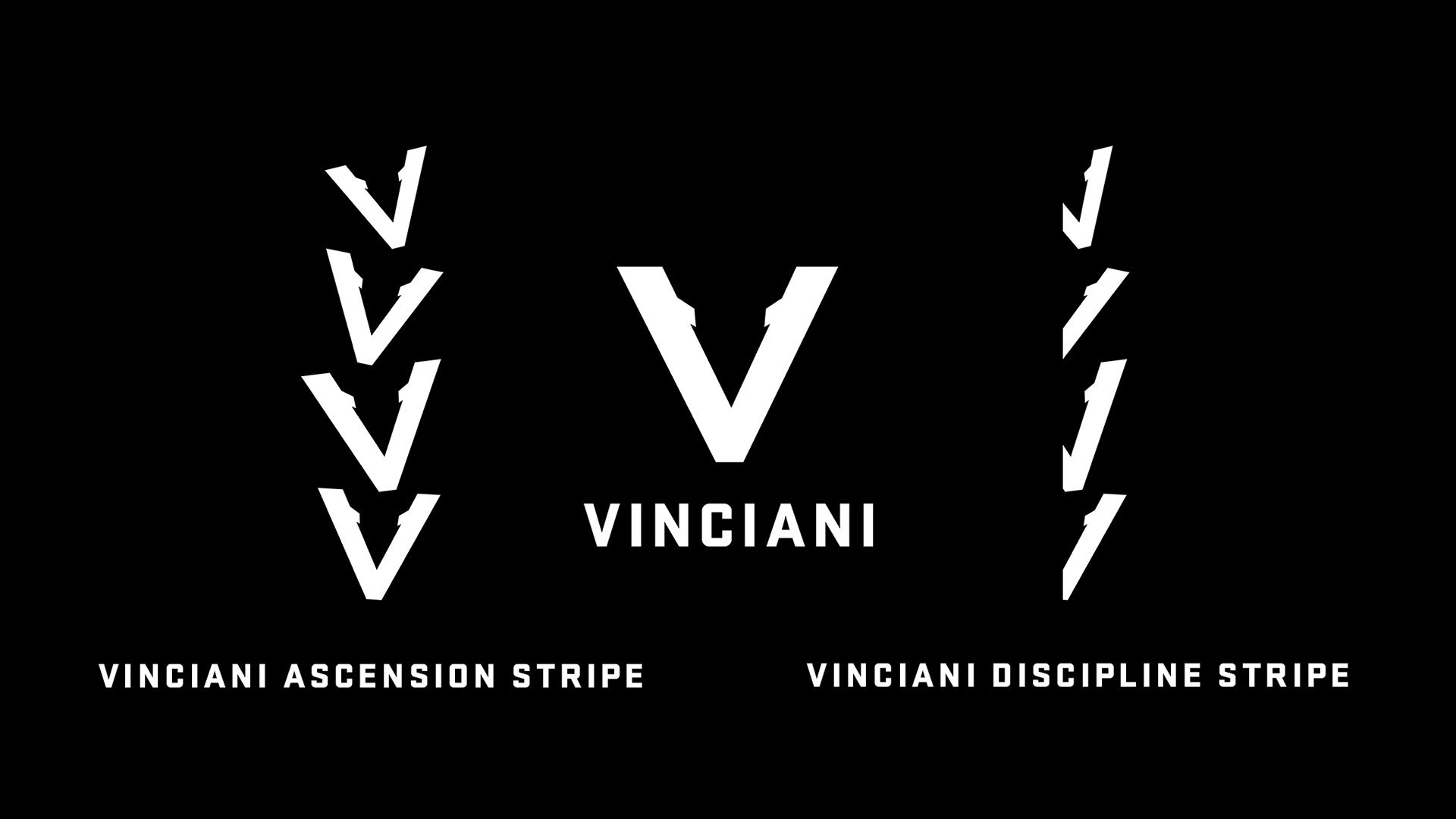 VINCIANI brand architecture featuring the V-Mark, Ascension Stripe and Discipline Stripe, showcasing the signature visual identity and design system of the House of Vinciani.