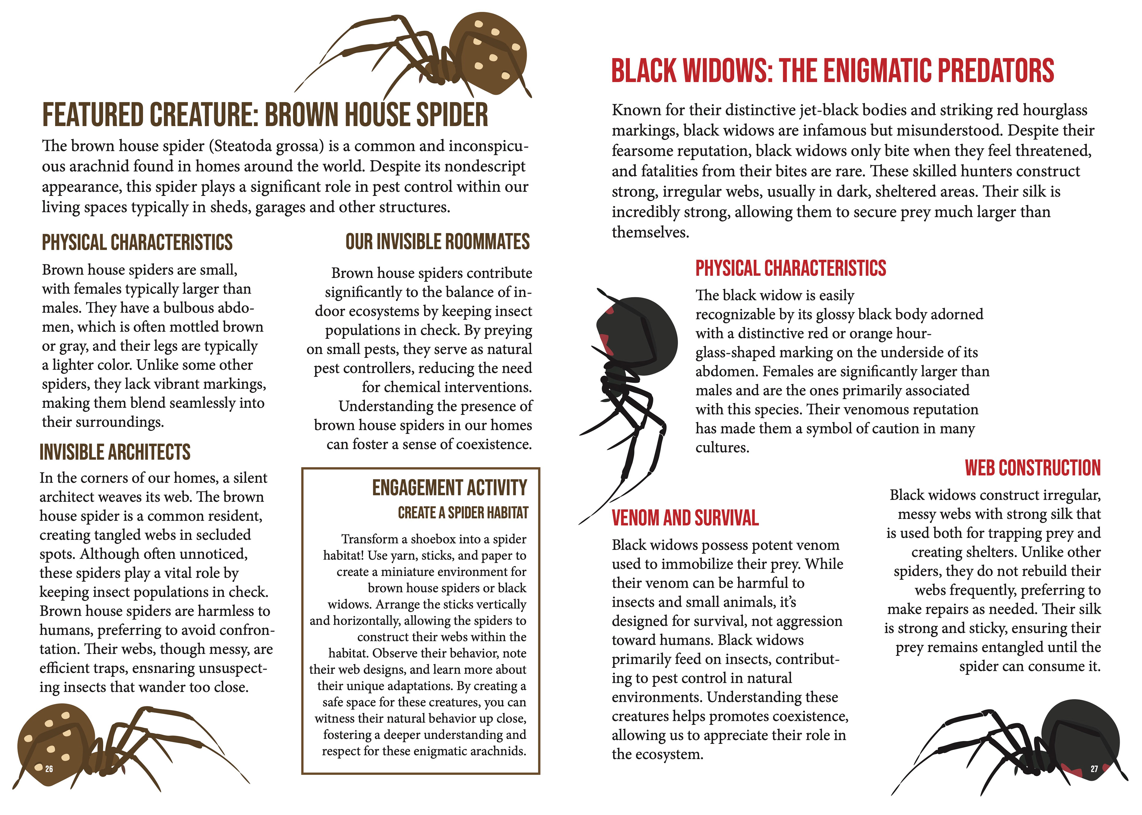 Spiders