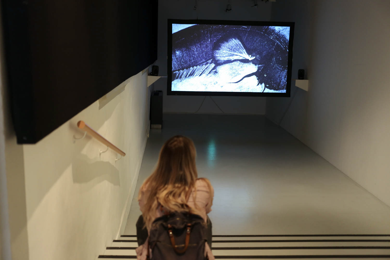 Strauhof, Shifting Sands, Wild Card 9