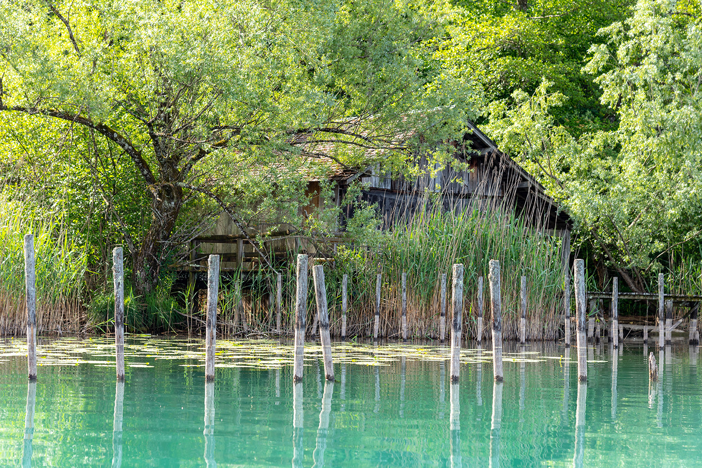 Lac d'Aiguebelette