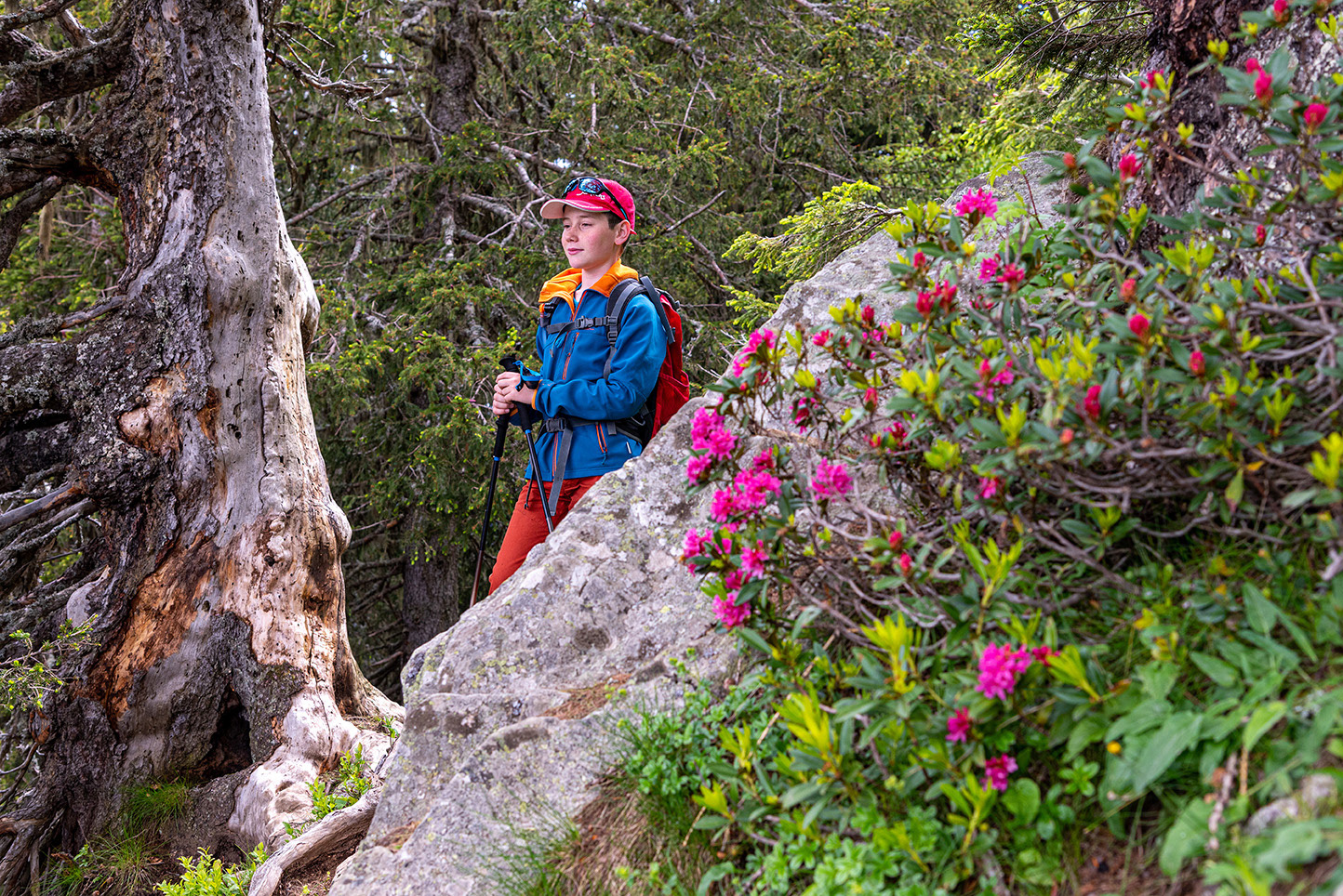 Massif des Aiguilles Rouges