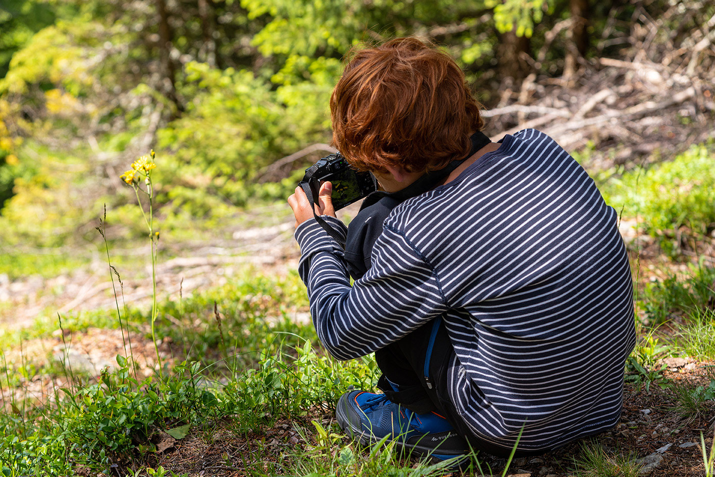 Massif des Aiguilles Rouges