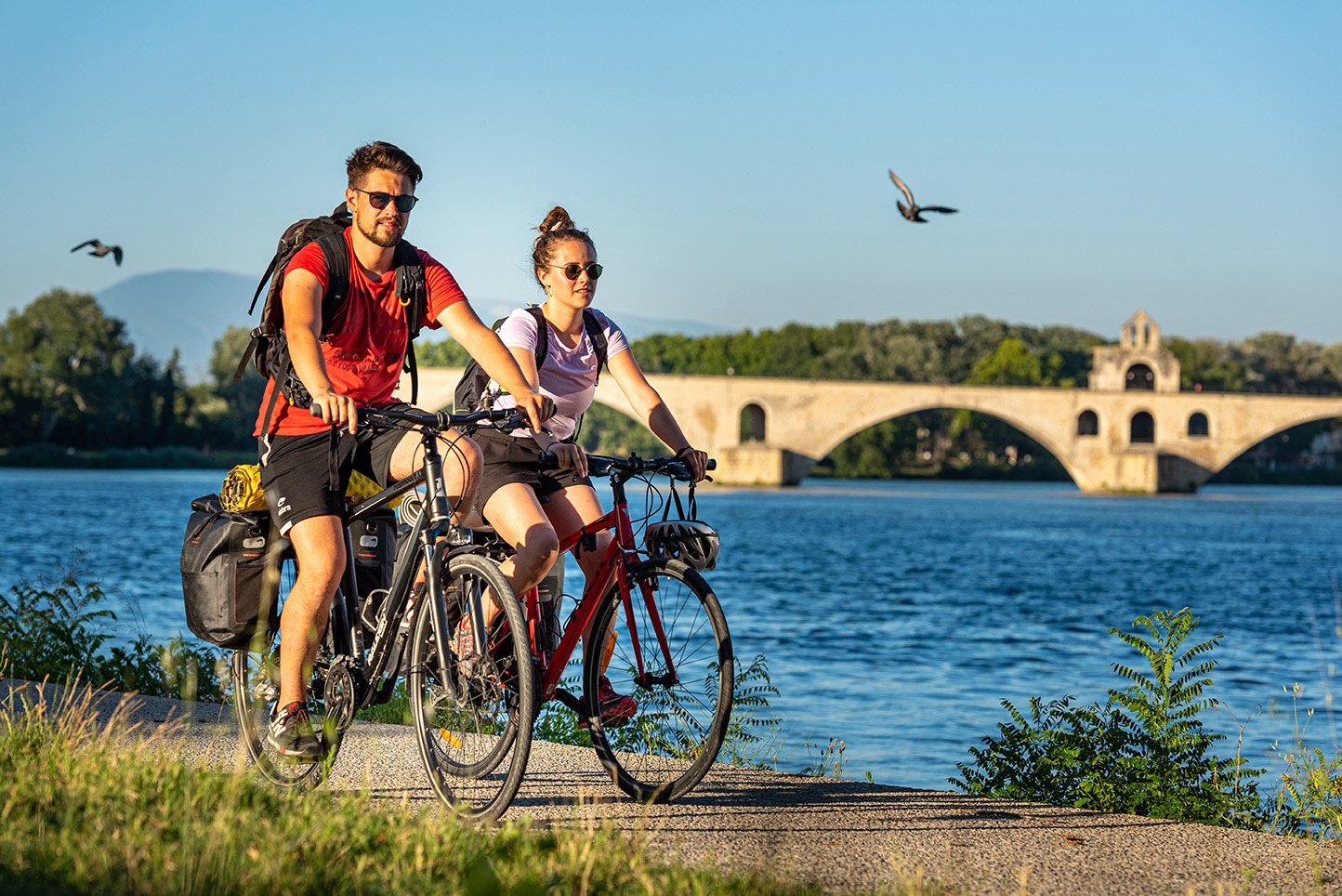Avignon