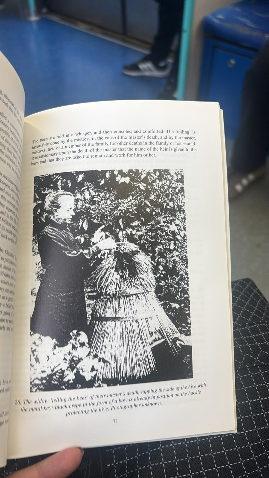 This image from it's original Book, Liquid Gold RB Ogden