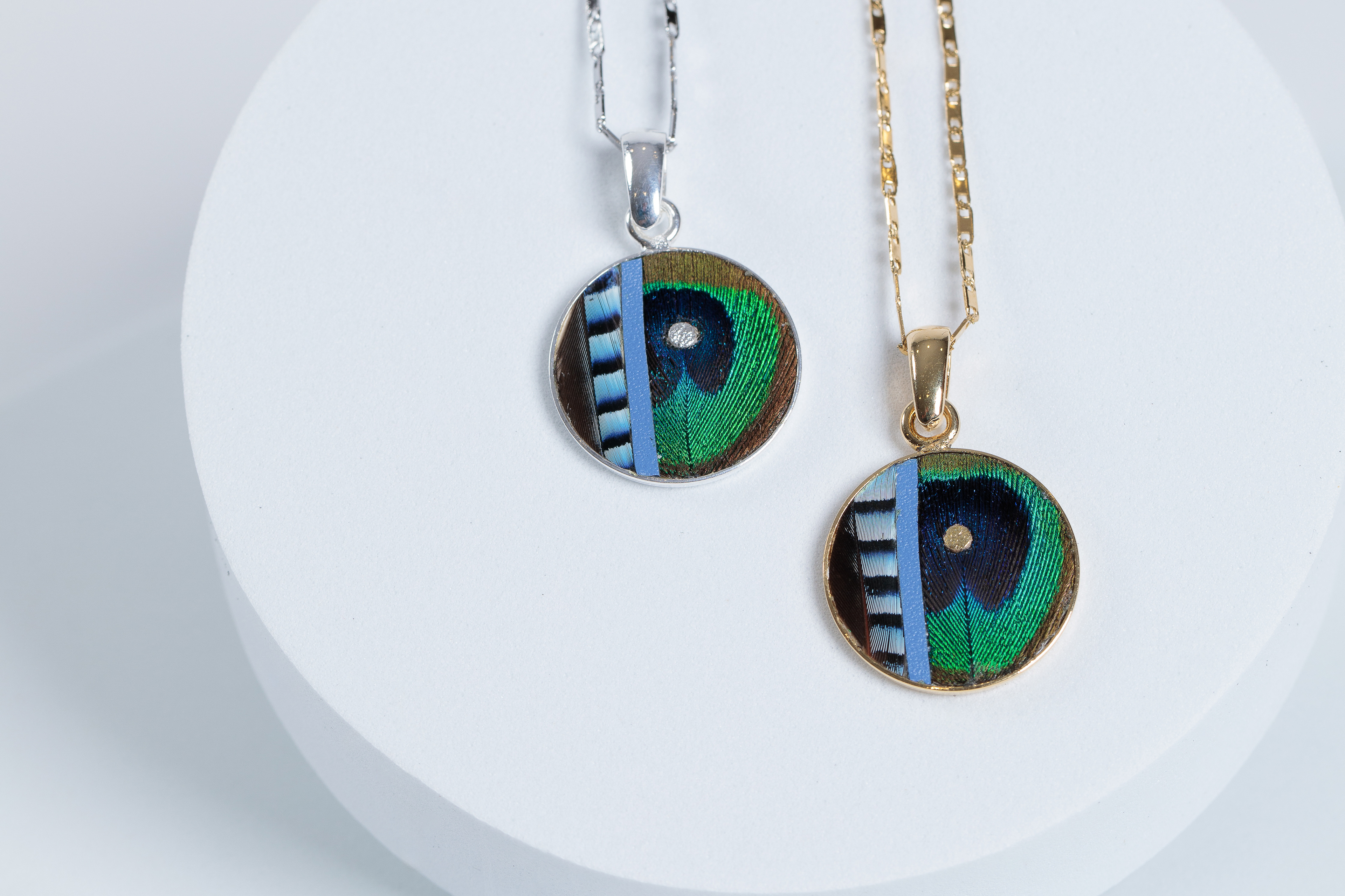 P.Plumes -Marie Piron