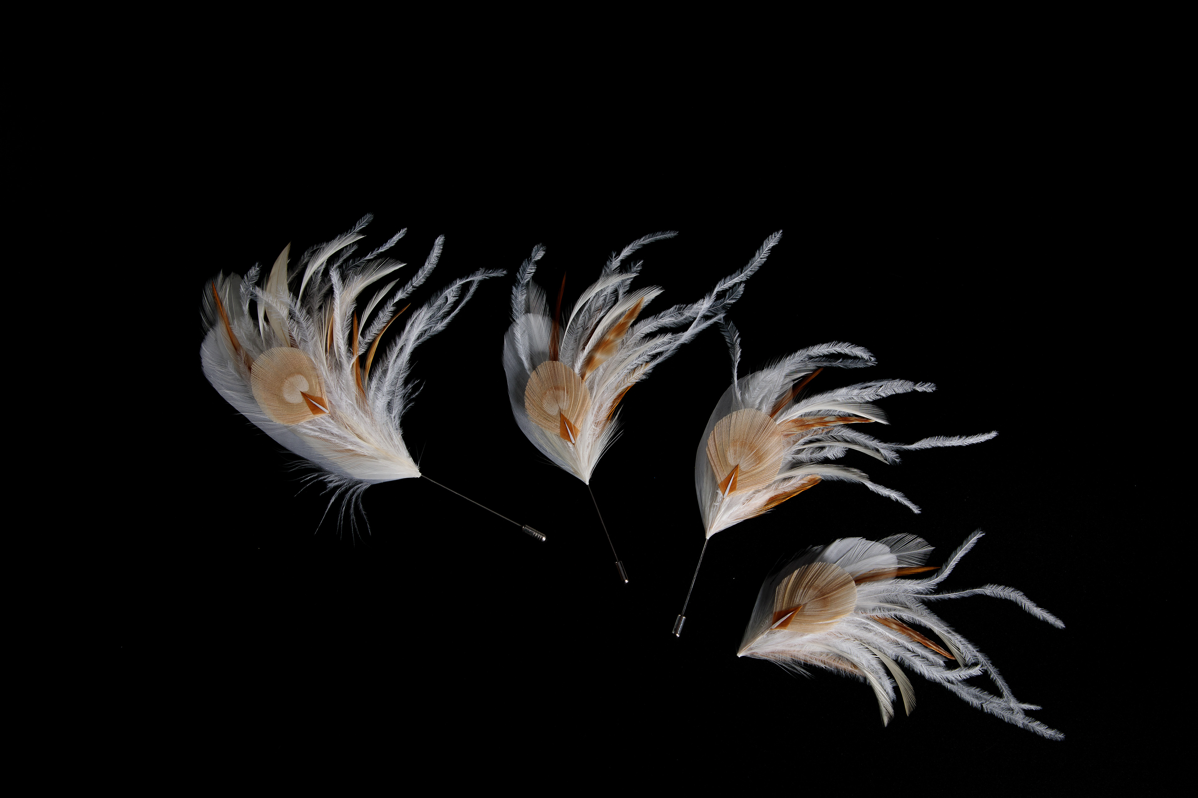 P.Plumes -Marie Piron