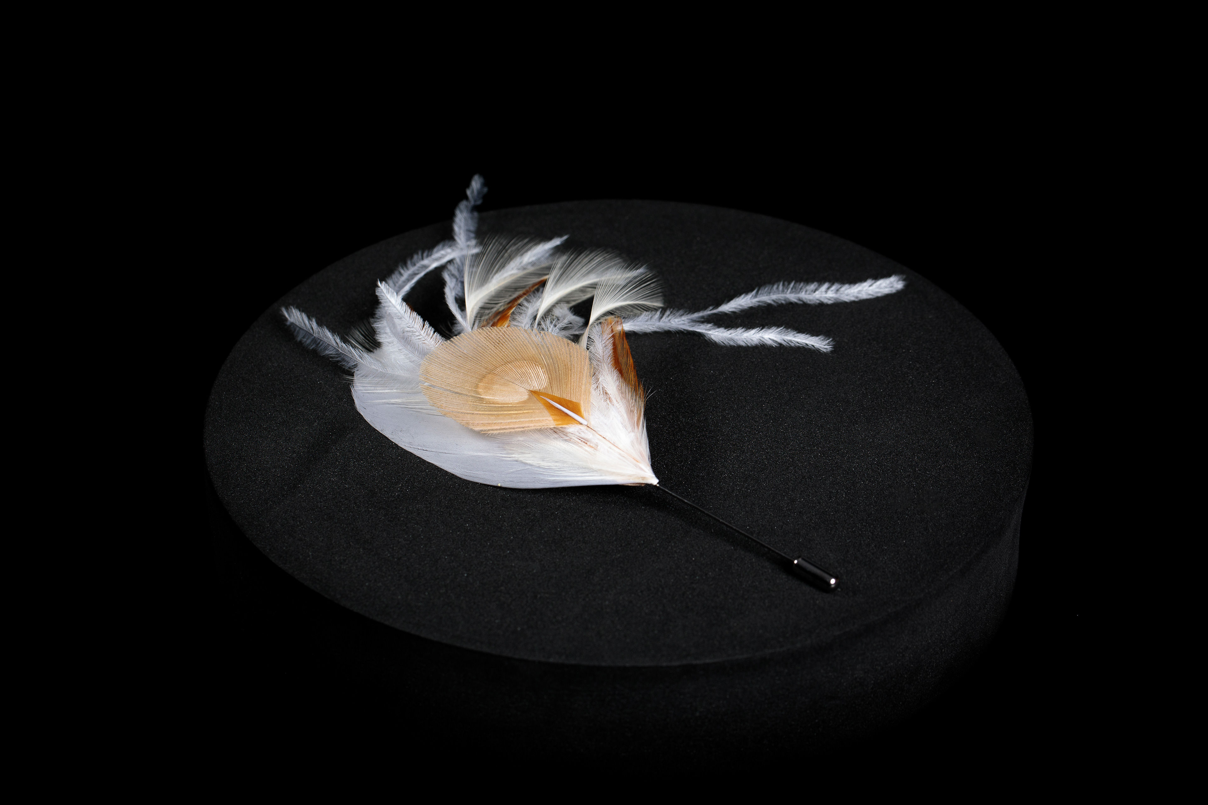 P.Plumes -Marie Piron