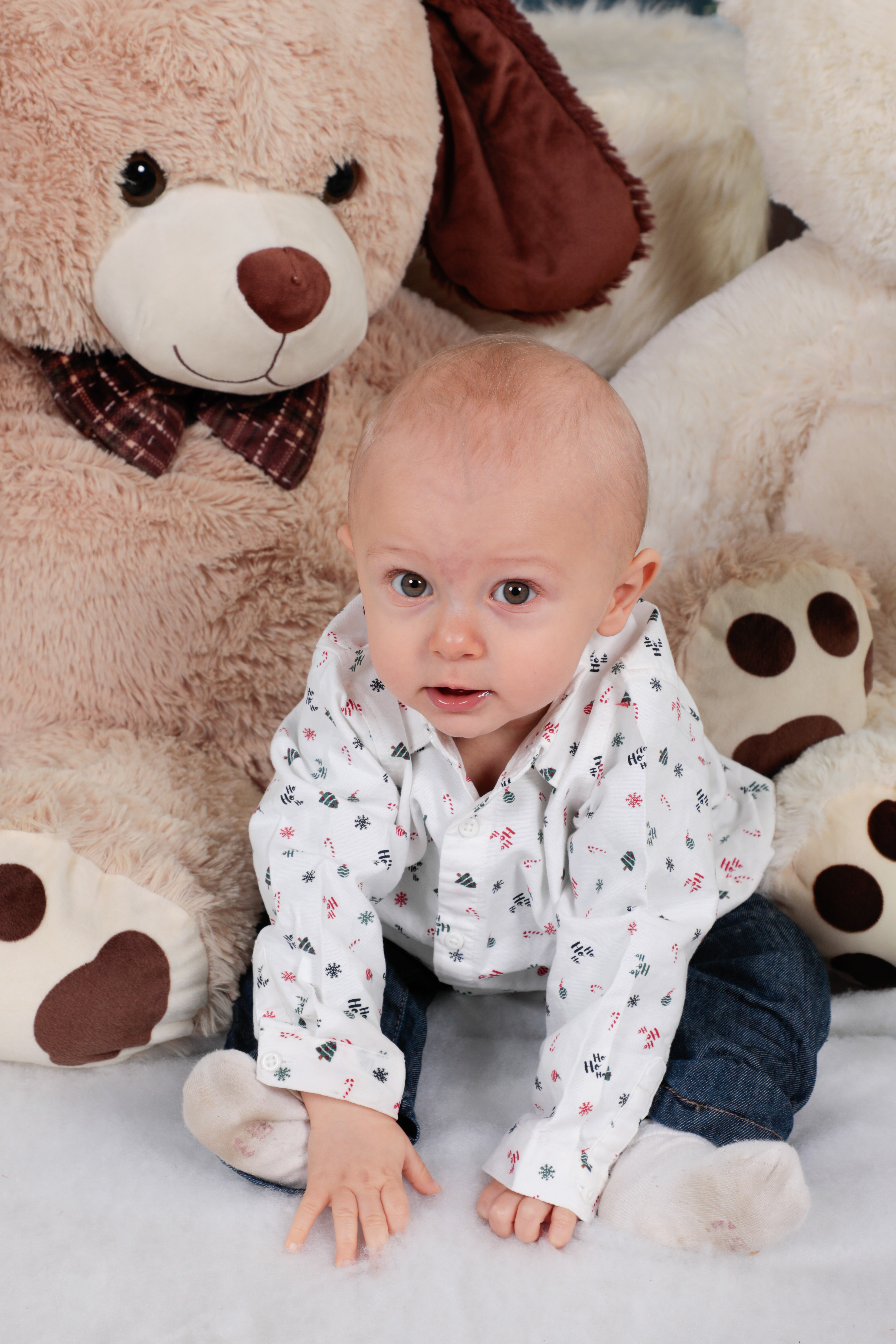 Mini séance de Noel en studio