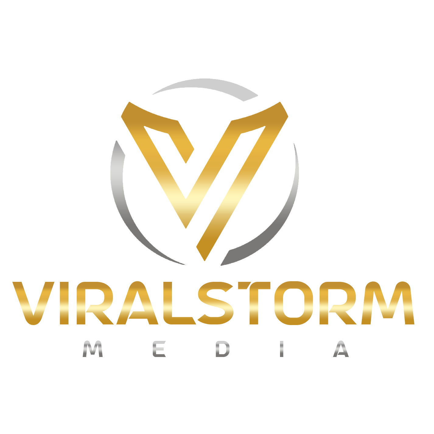 ViralStorm Media