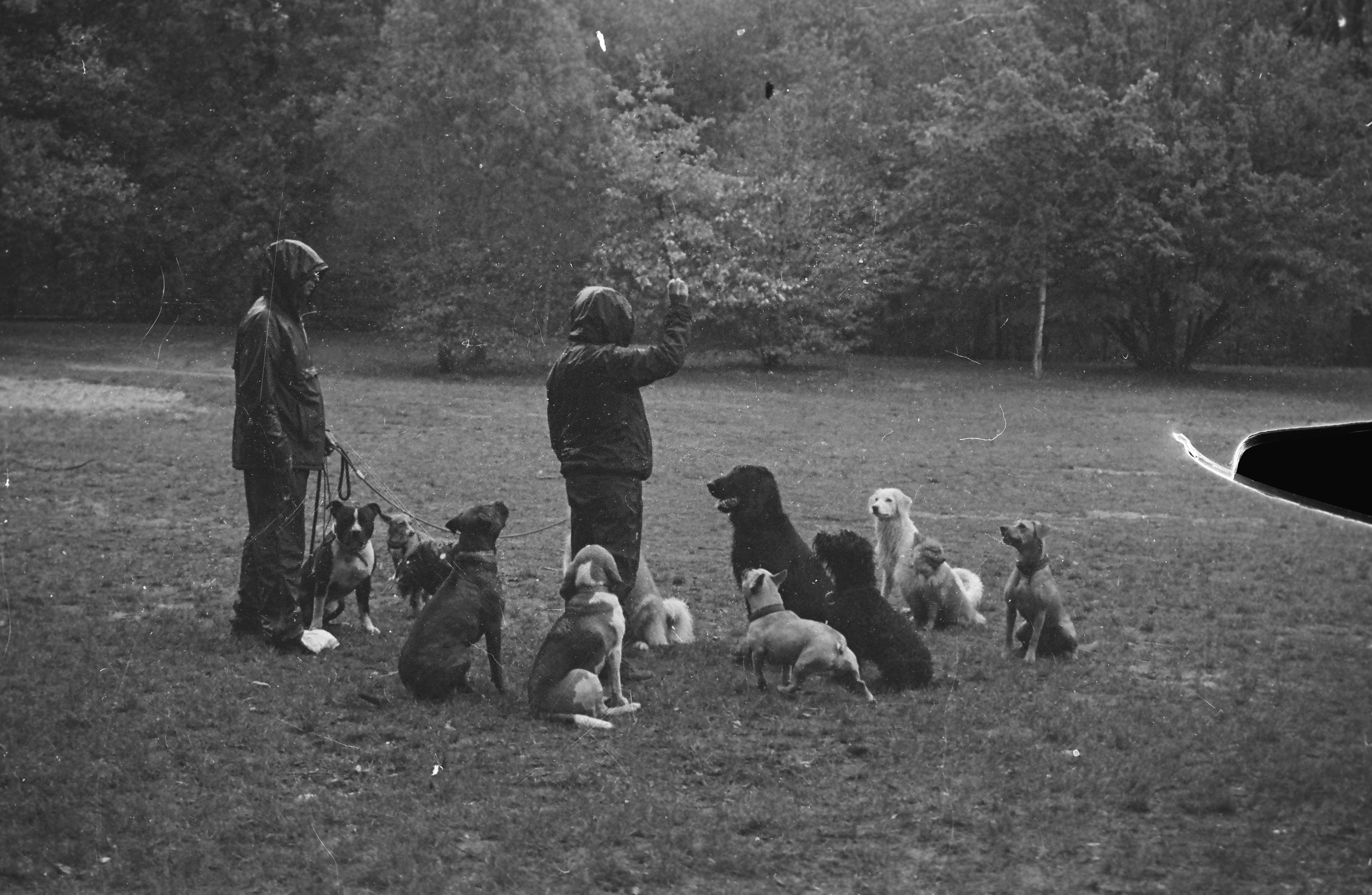 "BUDDIES" // Kodak 400 Tmax (développement maison)