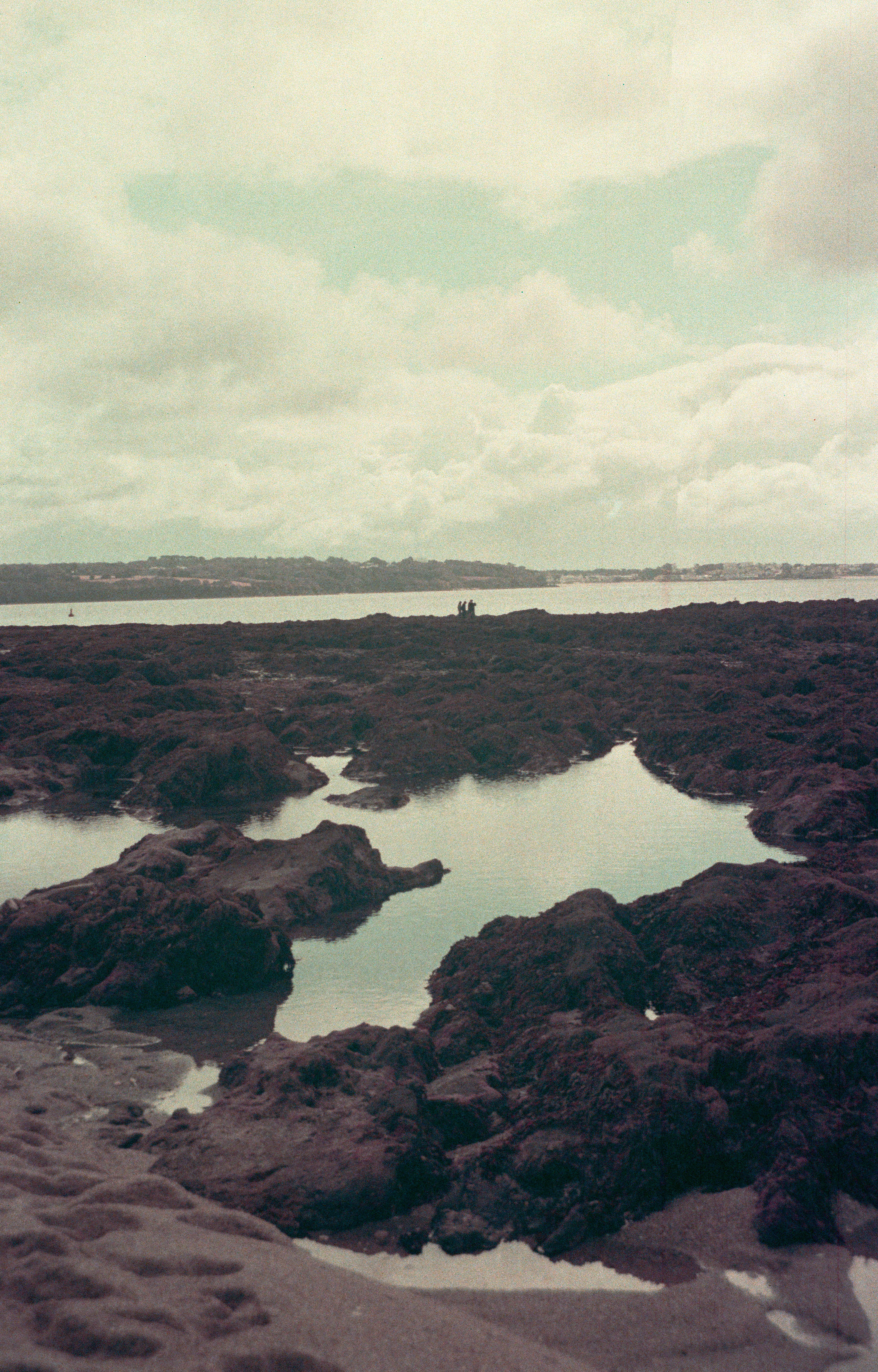 "PLAGE EN PURPLE" // Lomography Purple