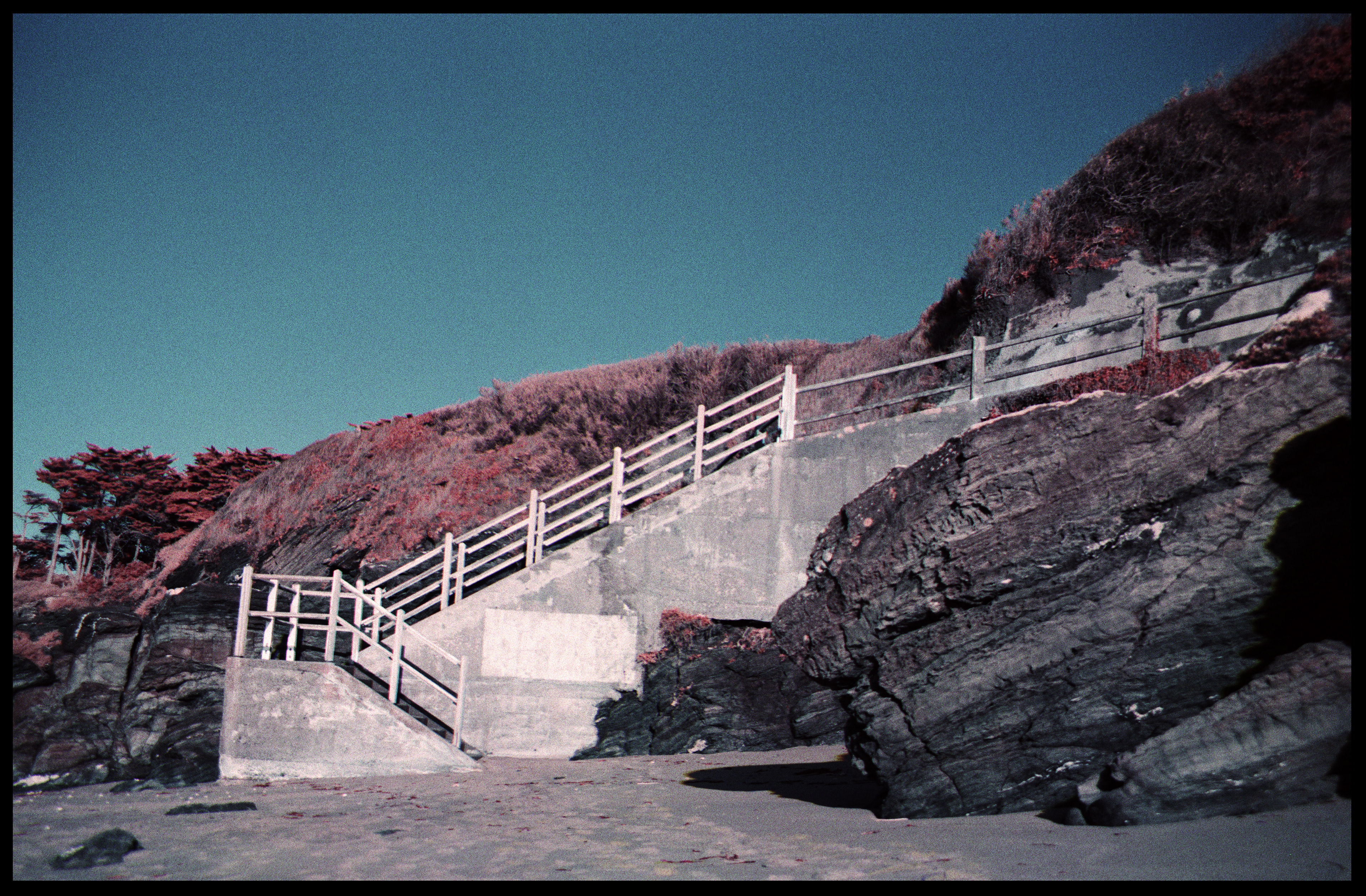 "L'ESCALIER" // Rollei Infrared 400