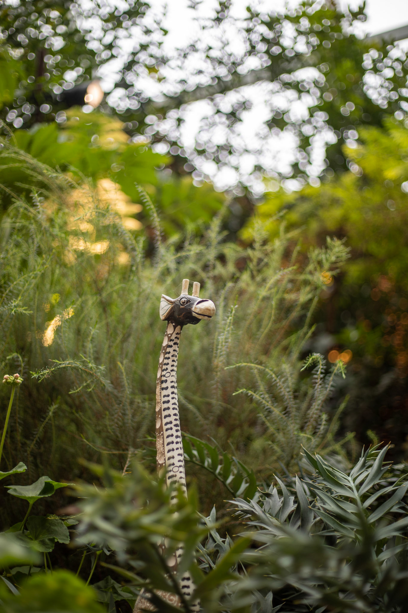 Singapore - Flower Dome