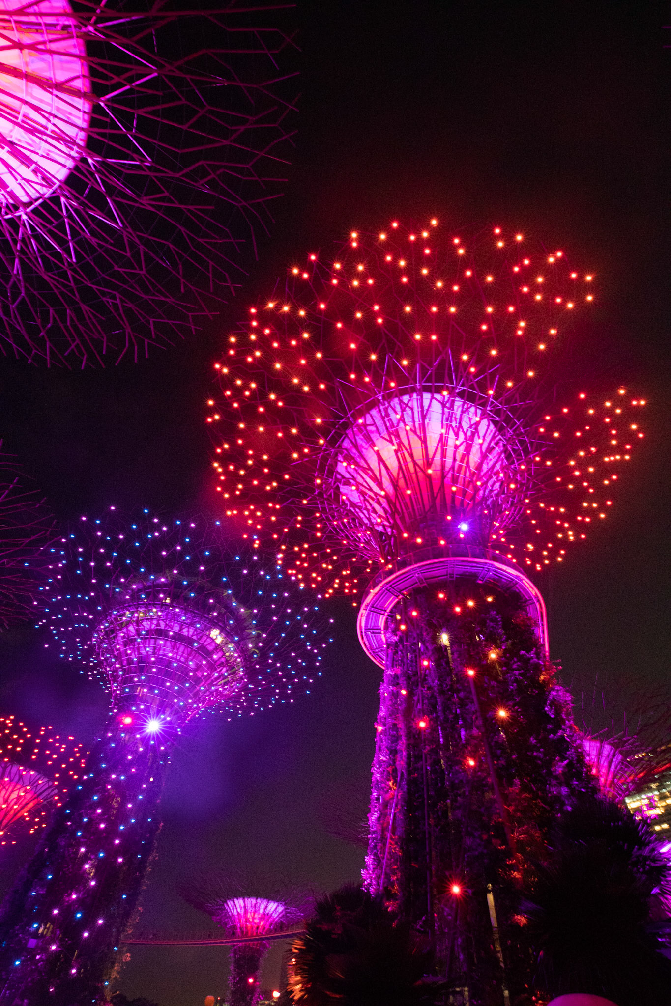 Singapore - Marina Bay Garden