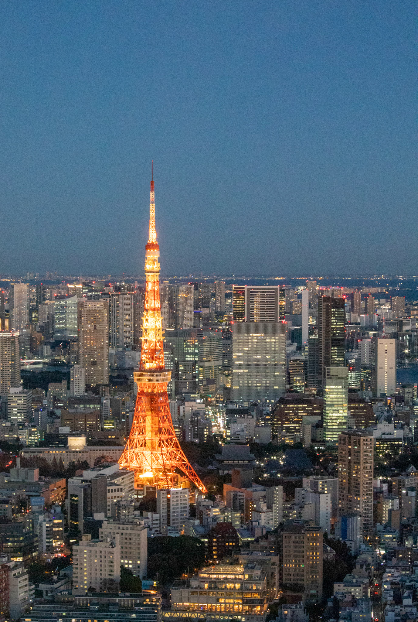 Tokyo -Tokyo Tower