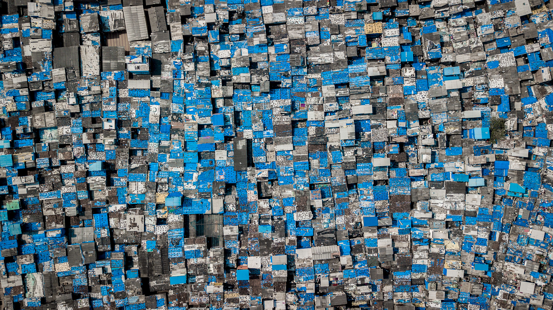 blue tarps on slum shacks from the monsoon rains, mumbai india