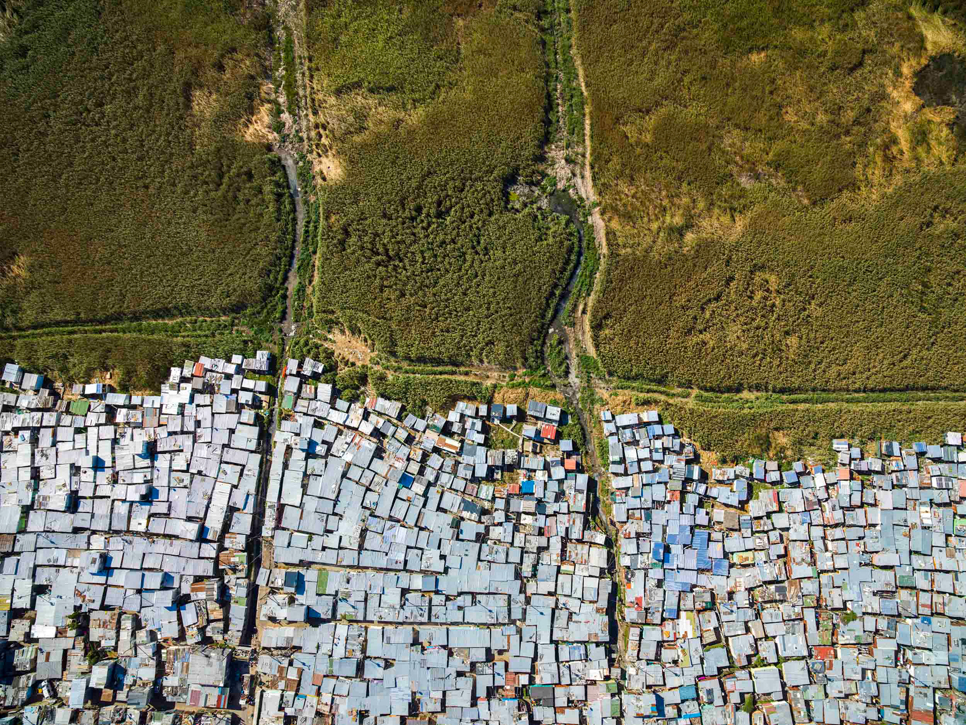 slum shacks in a field