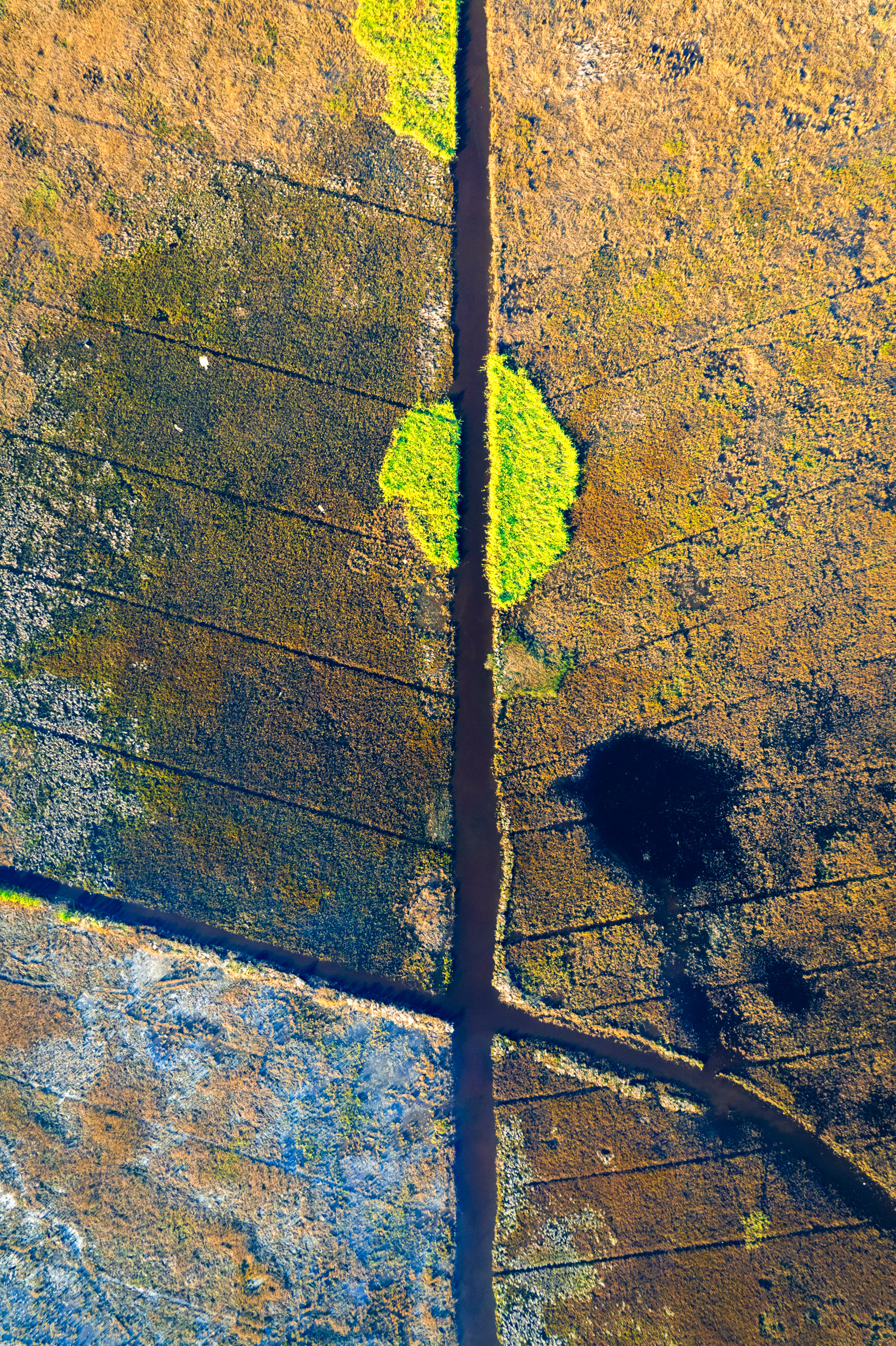 Navigational channels criss-cross the bayou all over southern Louisiana, leaving interesting patterns to decipher from above.