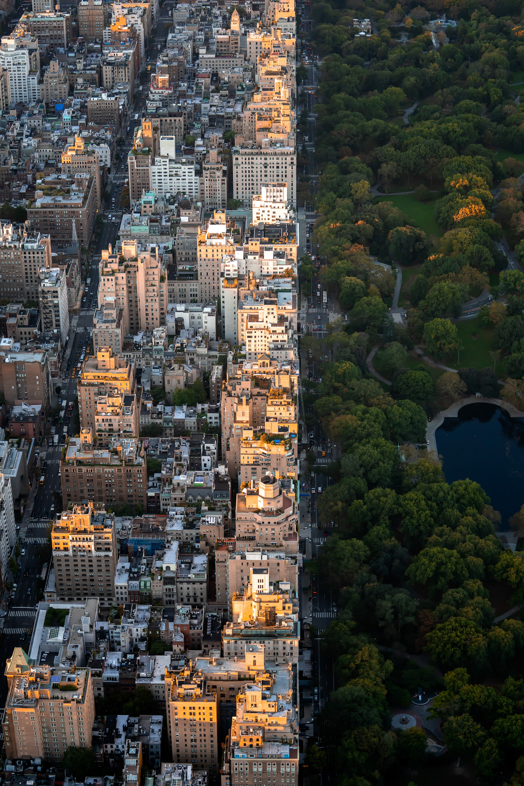 Buildings in the sunlight next to a park in shadow.