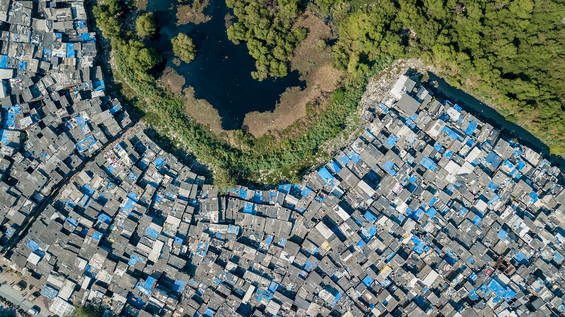 blue tarp slums in dharavi, a large slum in mumbai india.