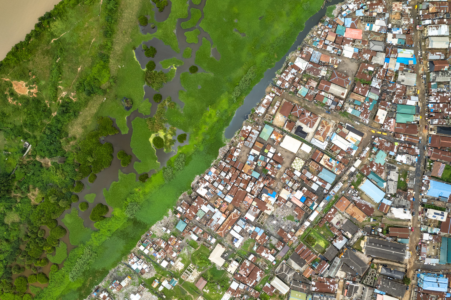 A drone view of a slum next to a green wetlands.