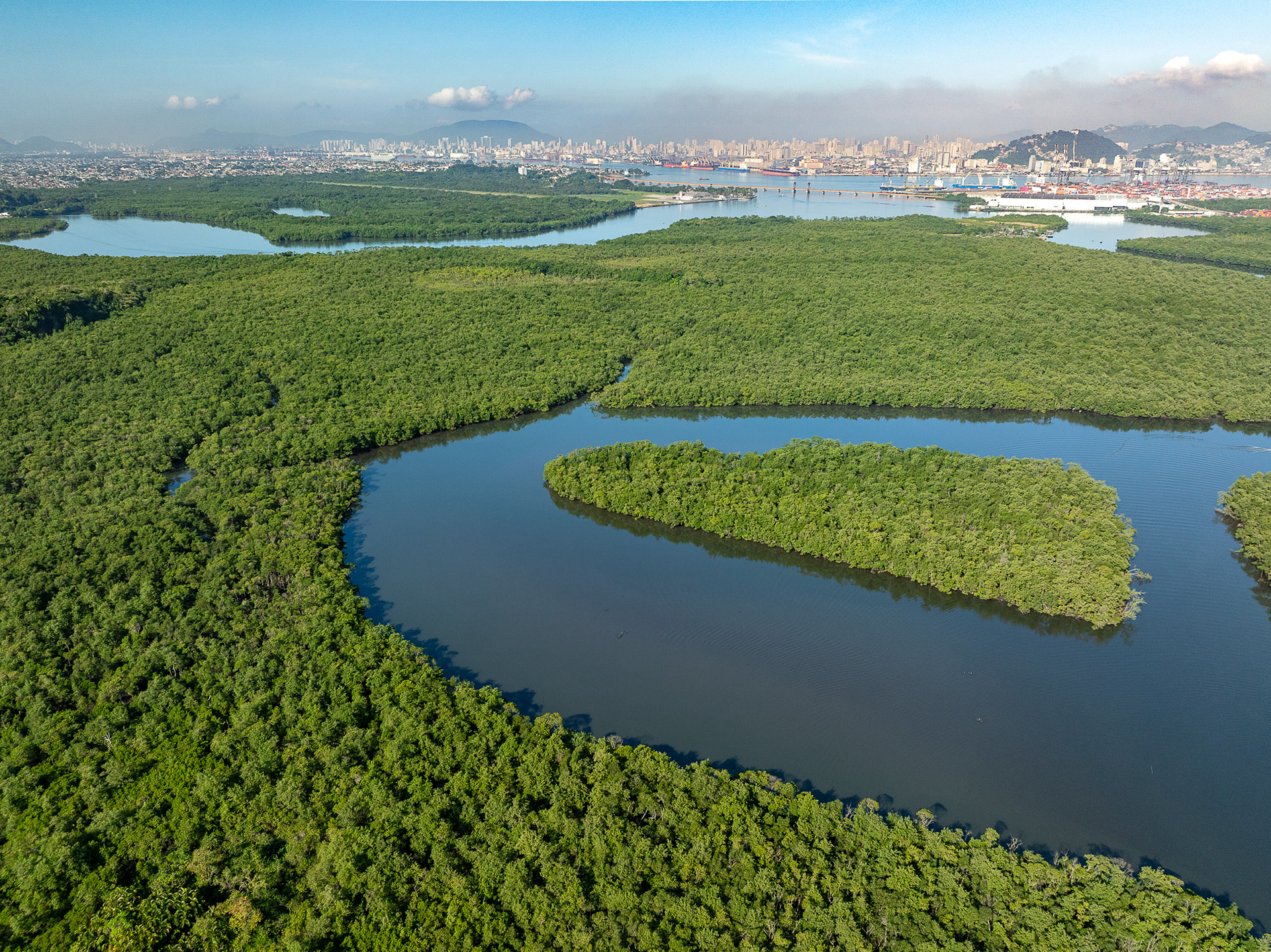 The mangroves of Santos curve toward the port skyline in the distance—an ecological barrier resisting industrial expansion and habitat destruction.