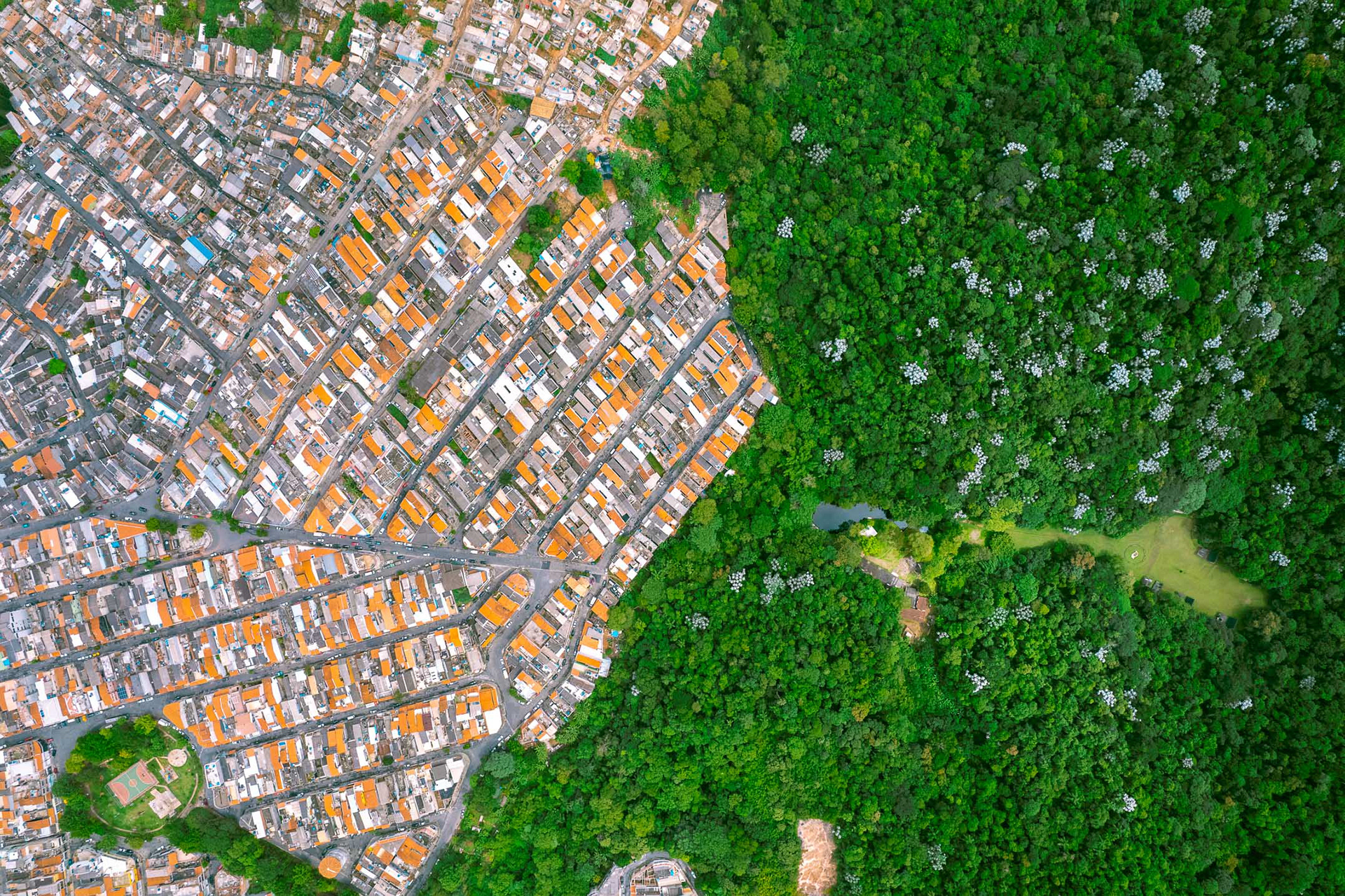 Aerial view of dense favela housing bordering lush forest in São Paulo, showing the stark contrast between urban expansion and the protected Guarani land in Jaraguá.
