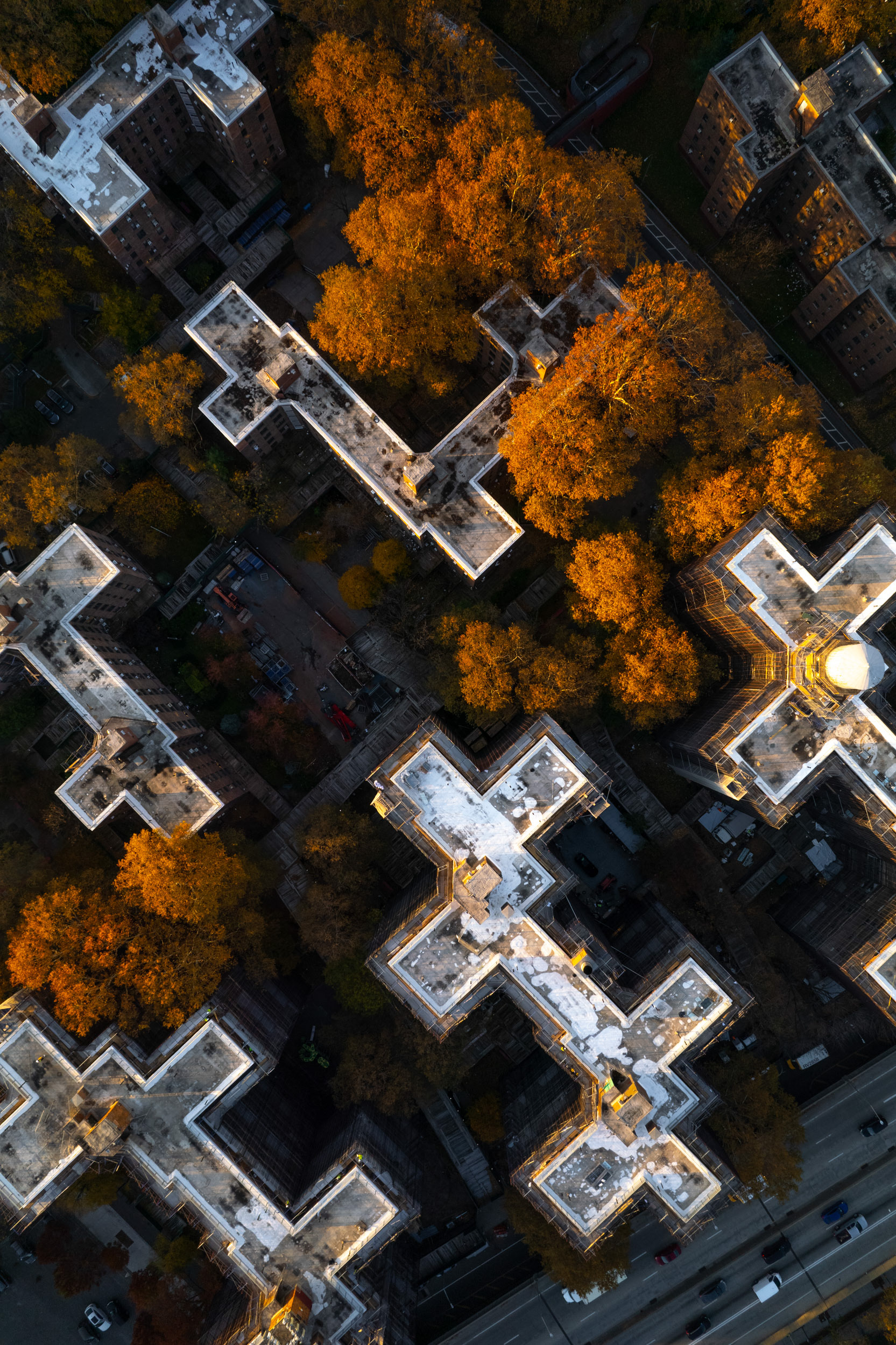 A drone photo of orange trees and cross-like apartment block roofs.