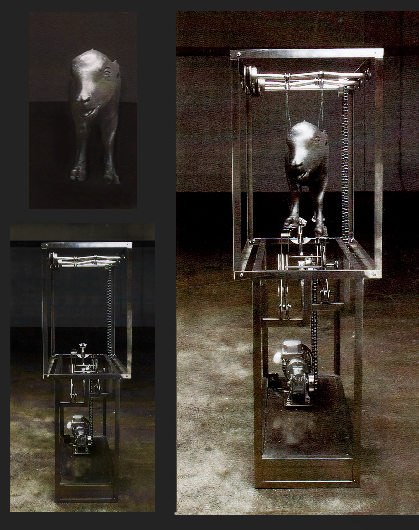 Artista Nicola Costantino