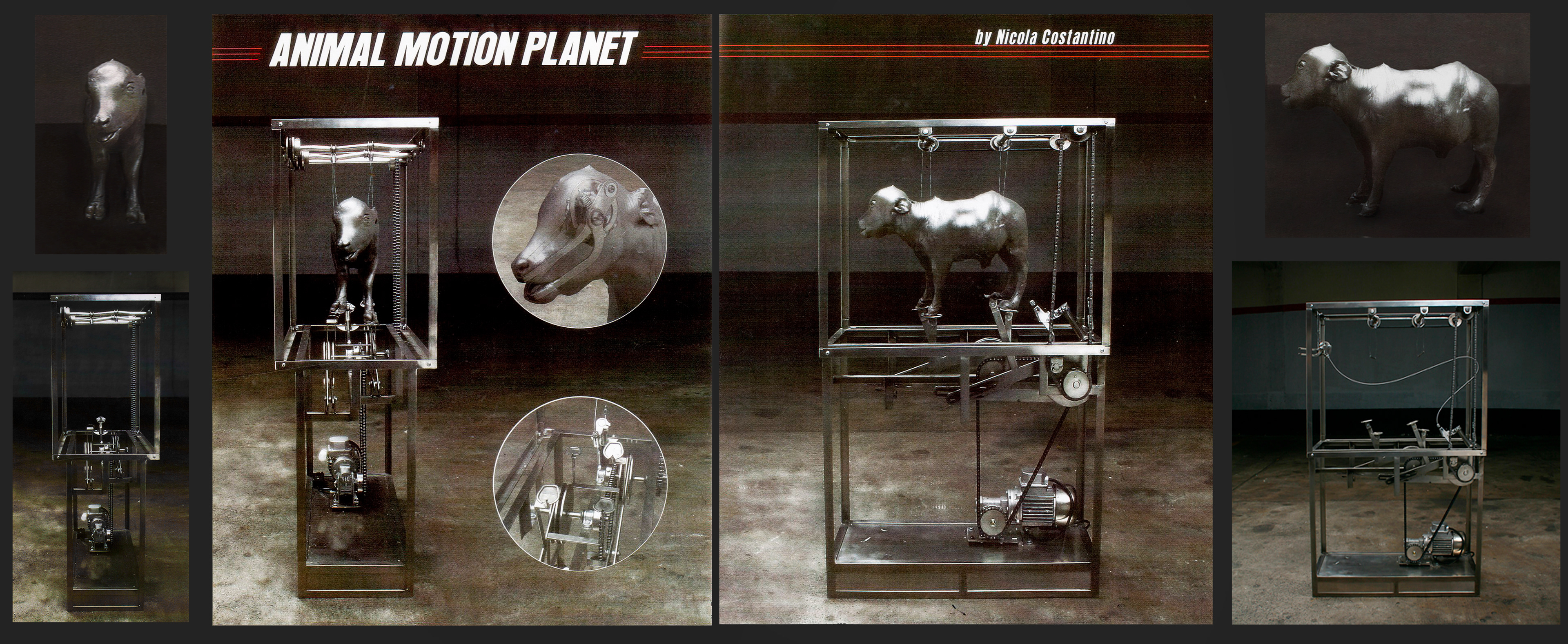 Artista Nicola Costantino