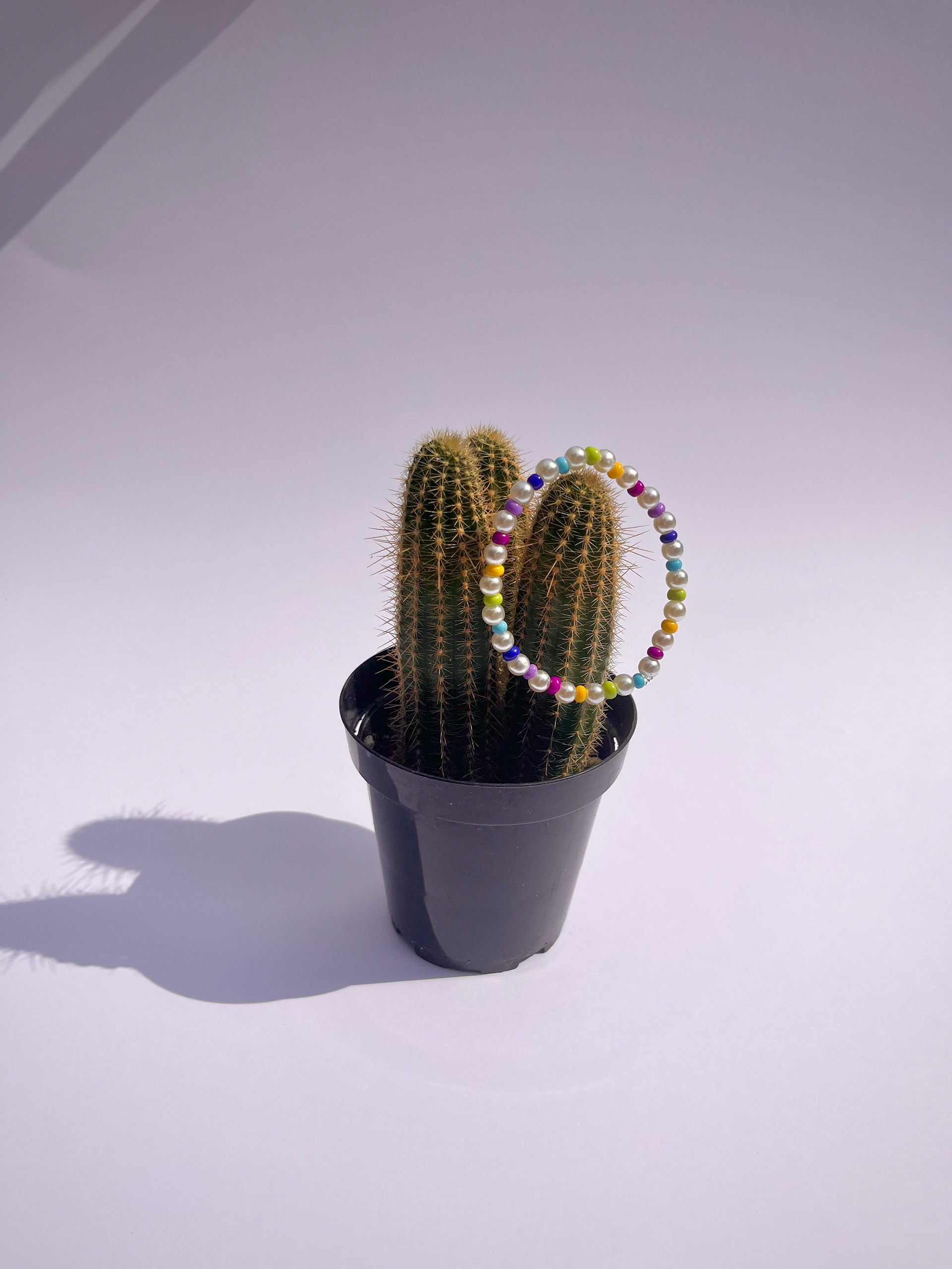 'The Really Cute Shoppe' Product Pictures, 2023.