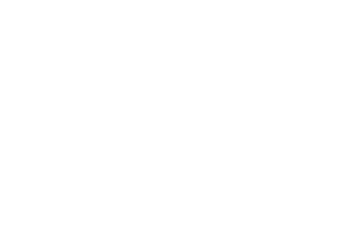 Seng Ung