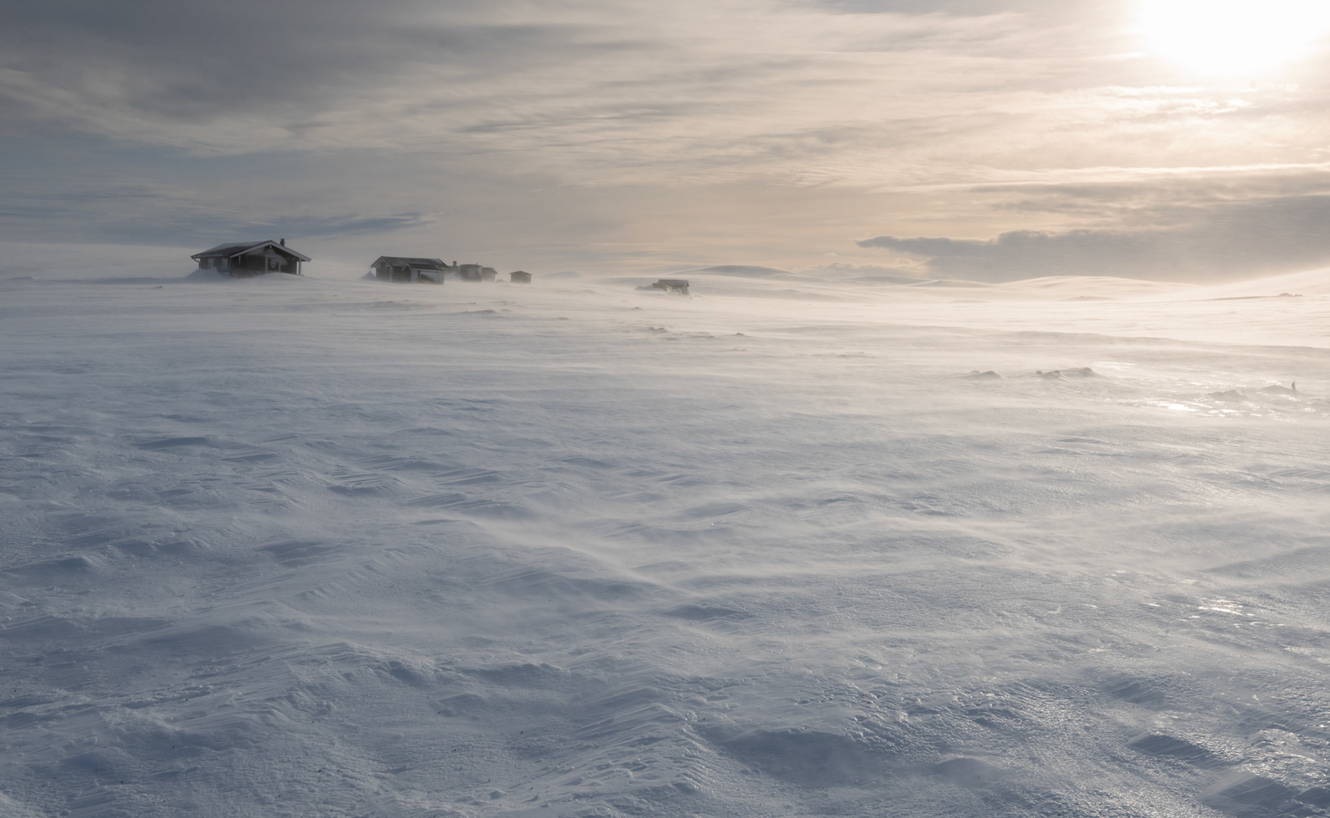 the cold light of day