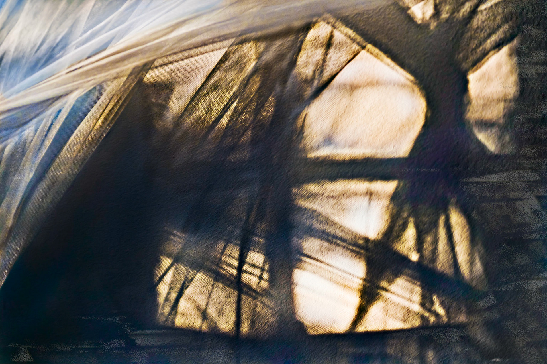 entangled mosquito nets over the river