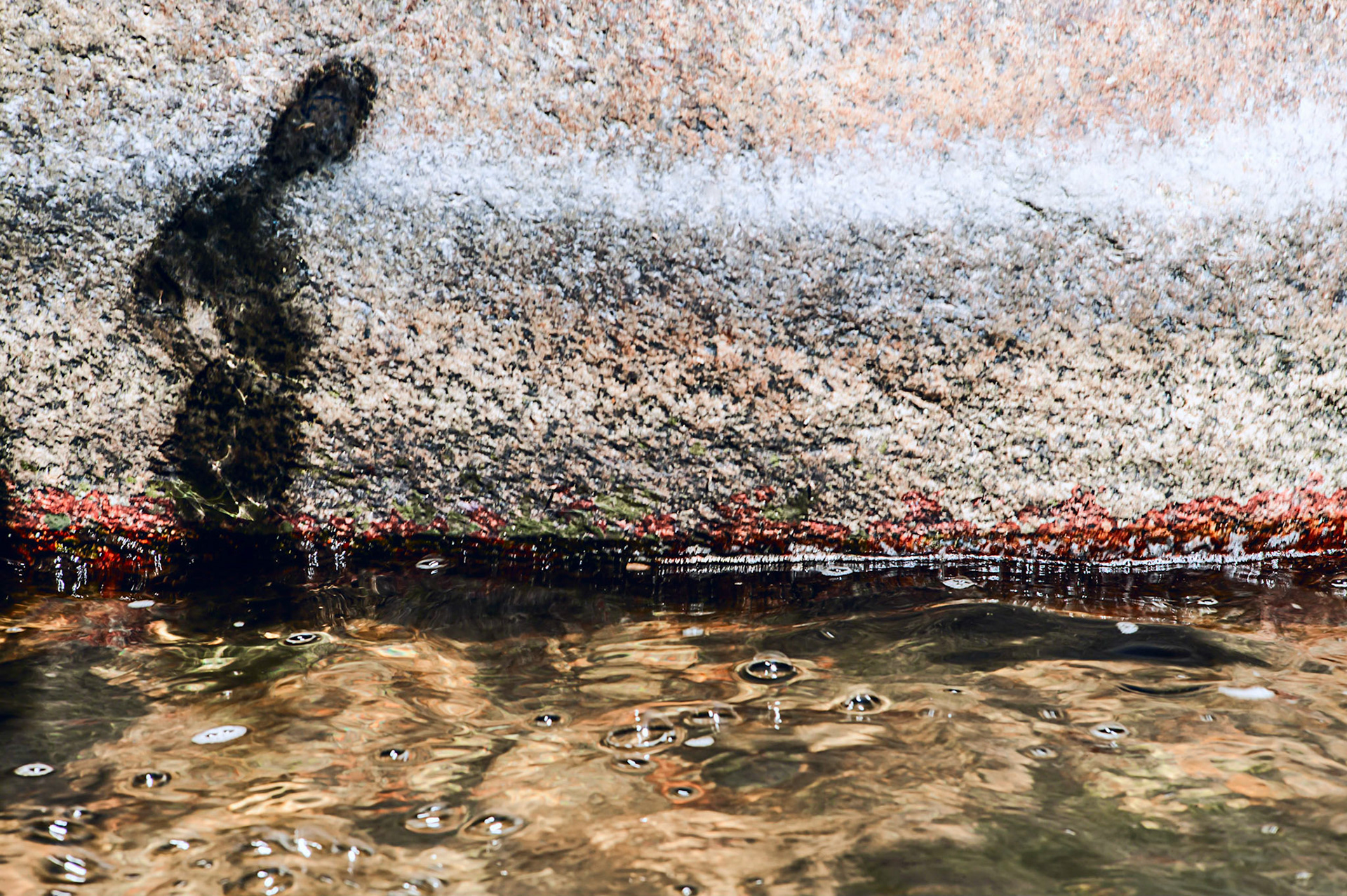 Silhouette on a river rock